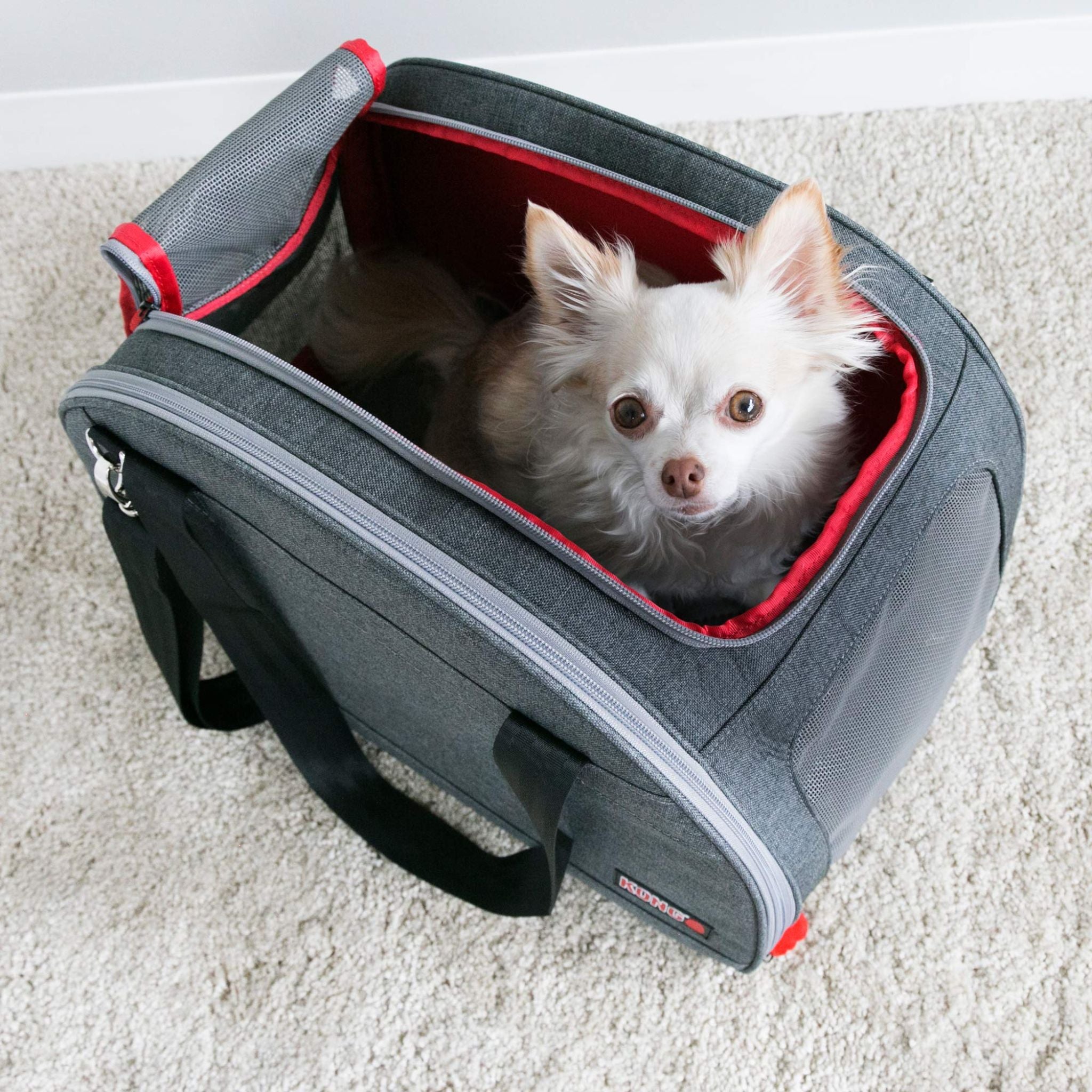 KONG Pet Carrier & Travel Bed Mat 2-In-1