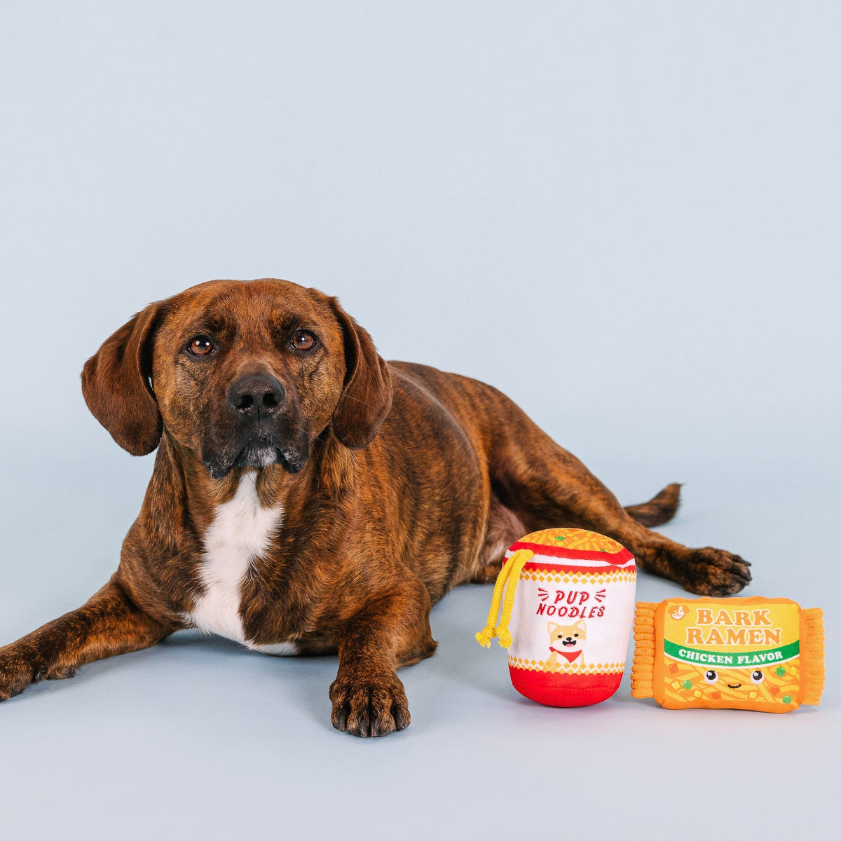 Fringe Studio Plush Dog Toy Set - Nothin' But Noodles — detail