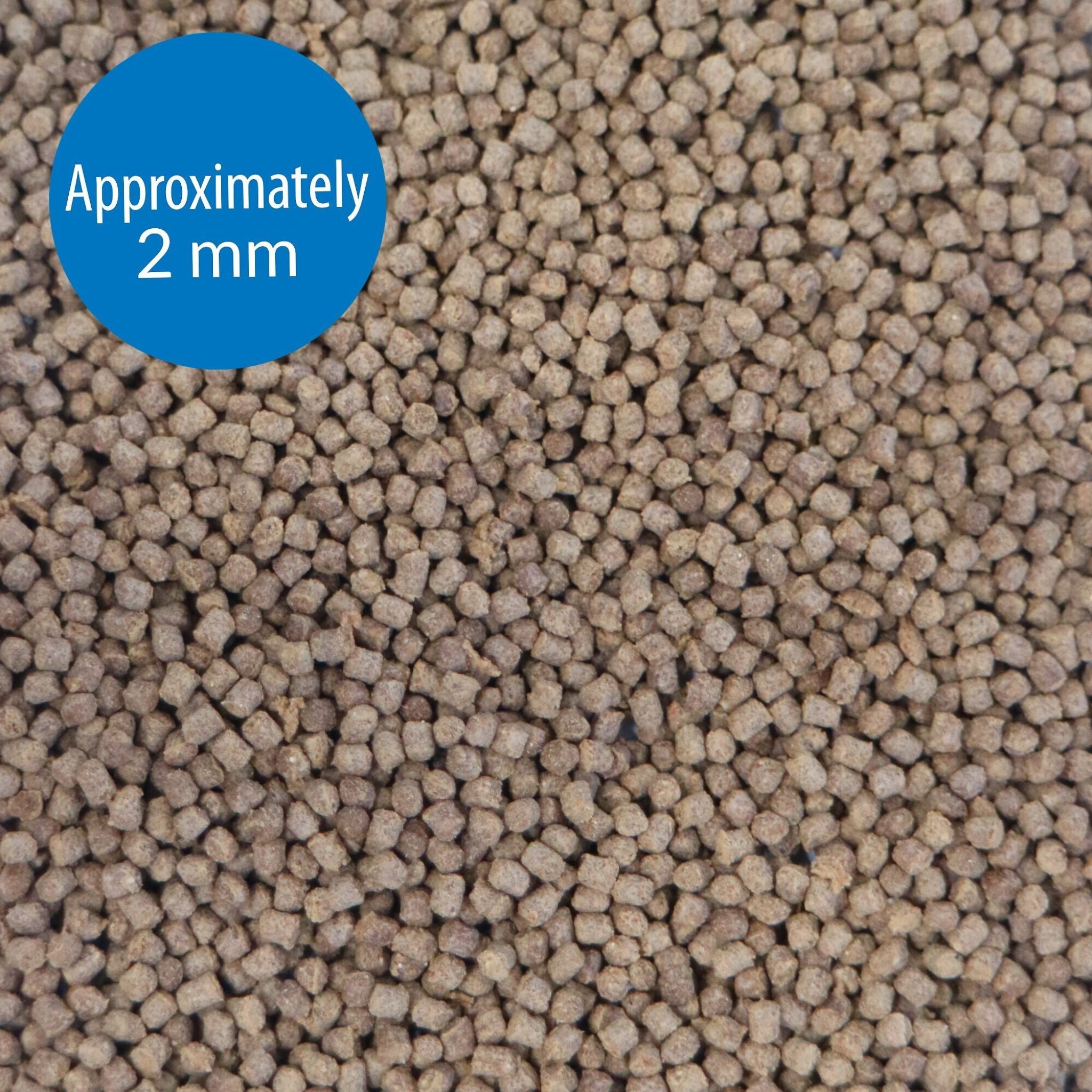 API Floating Cichlid Pellets Medium