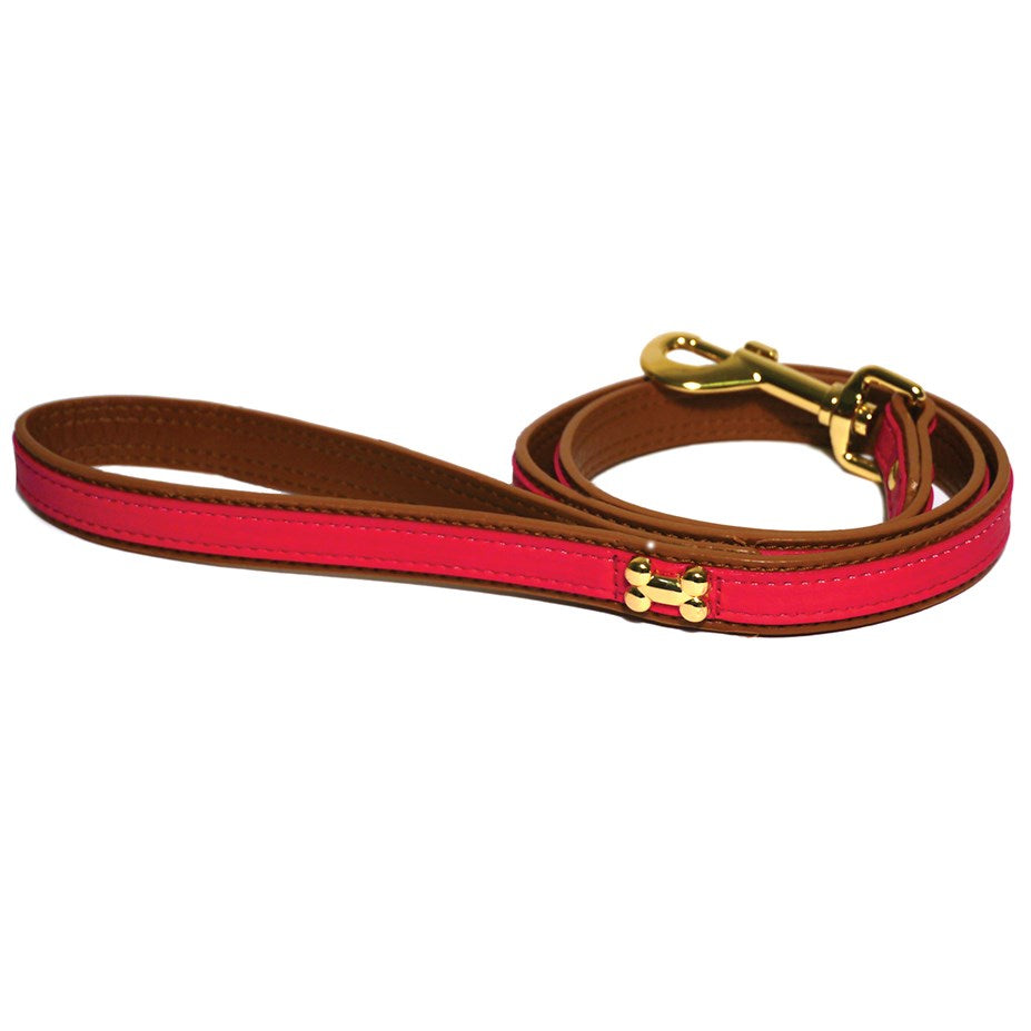 Rosewood Wag 'n' Walk Signal Dog Lead
