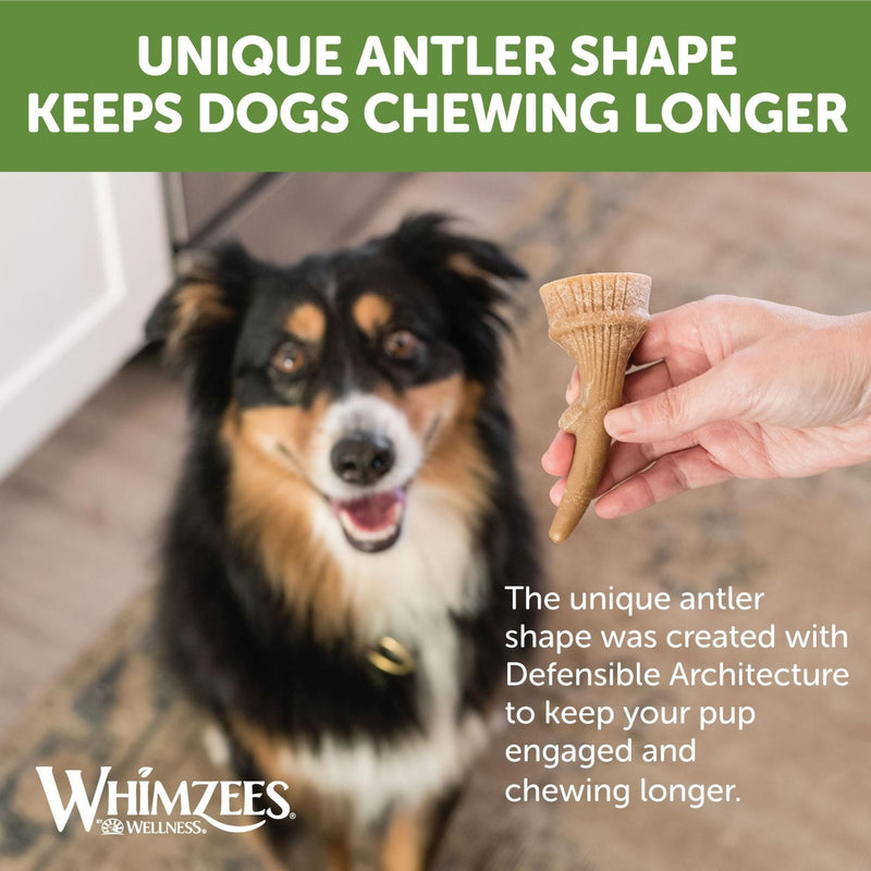 Whimzees Dental Dog Treats Occupy Antlers