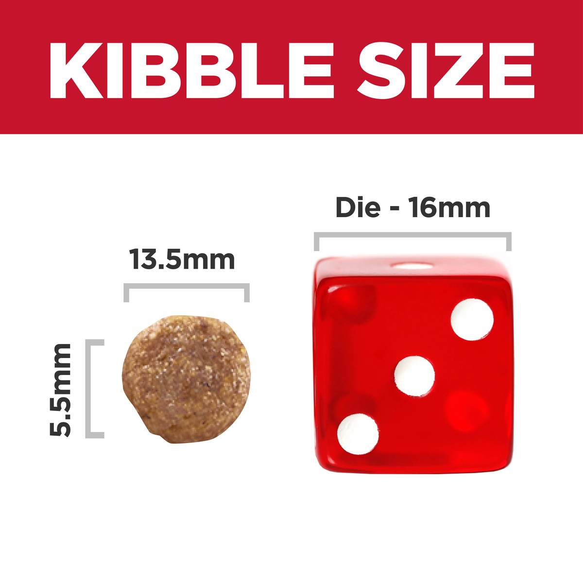 Kibble size comparison: 13.5mm by 5.5mm Hill's Large Breed Puppy kibble beside a 16mm dice