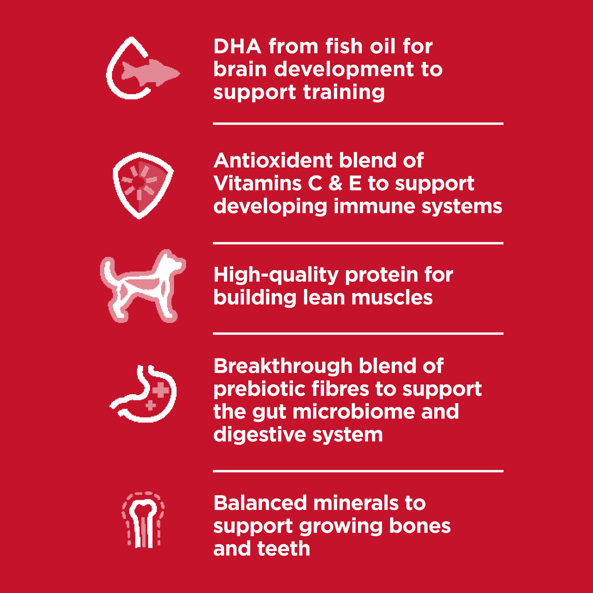 Benefits list for Hill's Large Breed Puppy: DHA, antioxidants, protein, prebiotic fibres and minerals