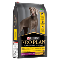 PRO PLAN Adult 7+ Bright Mind Chicken dry dog food bag, front of pack, with a weimaraner