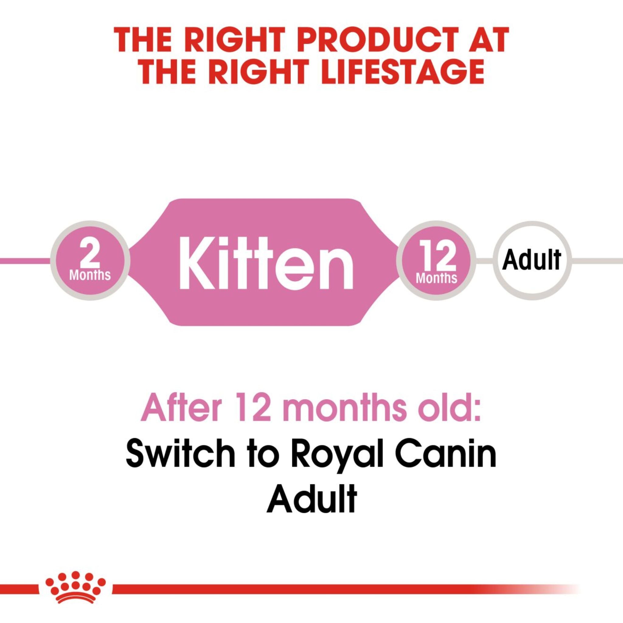 Royal Canin Second Age Kitten Dry Cat Food