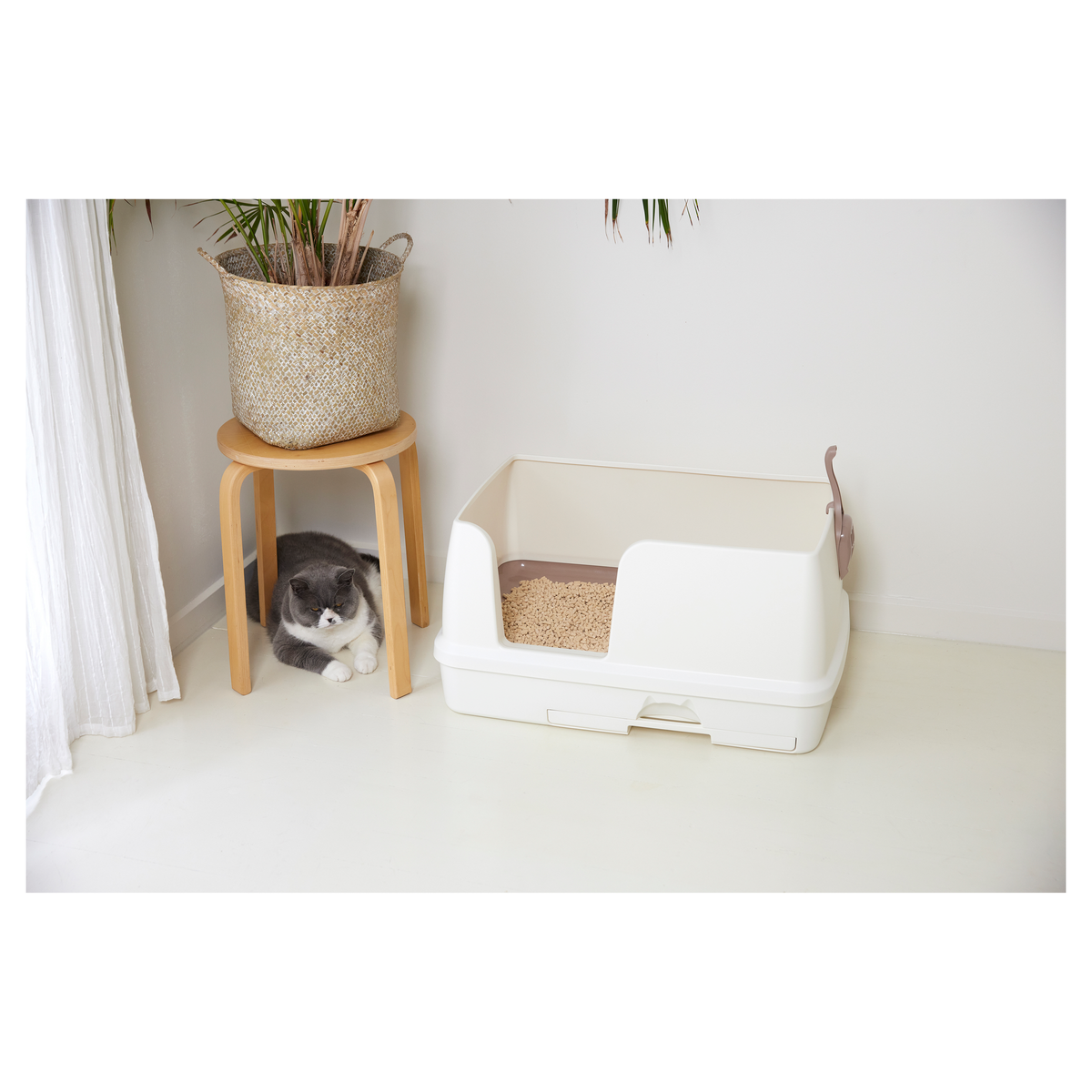 Black and white cat beside a cream Ezi-LockOdour XL litter box in a bright room