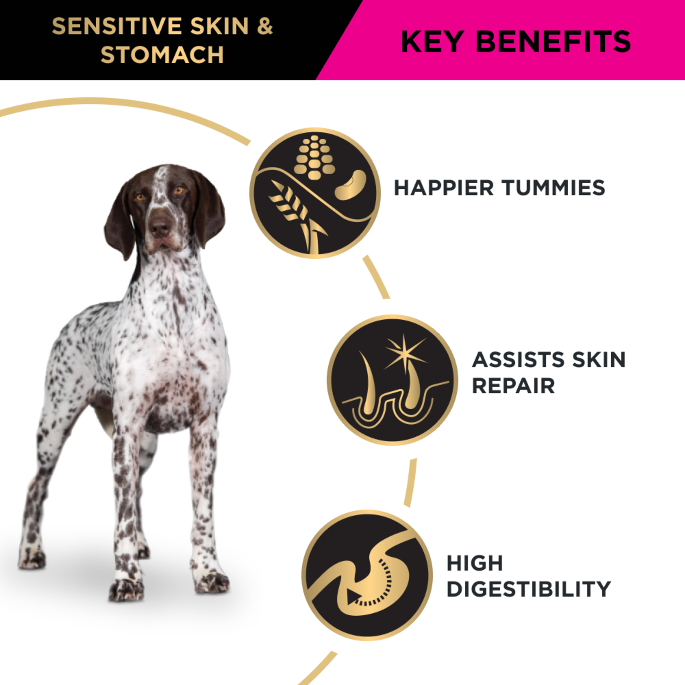 PRO PLAN Adult Sensitive Skin & Stomach key benefits with a pointer: digestion and skin repair