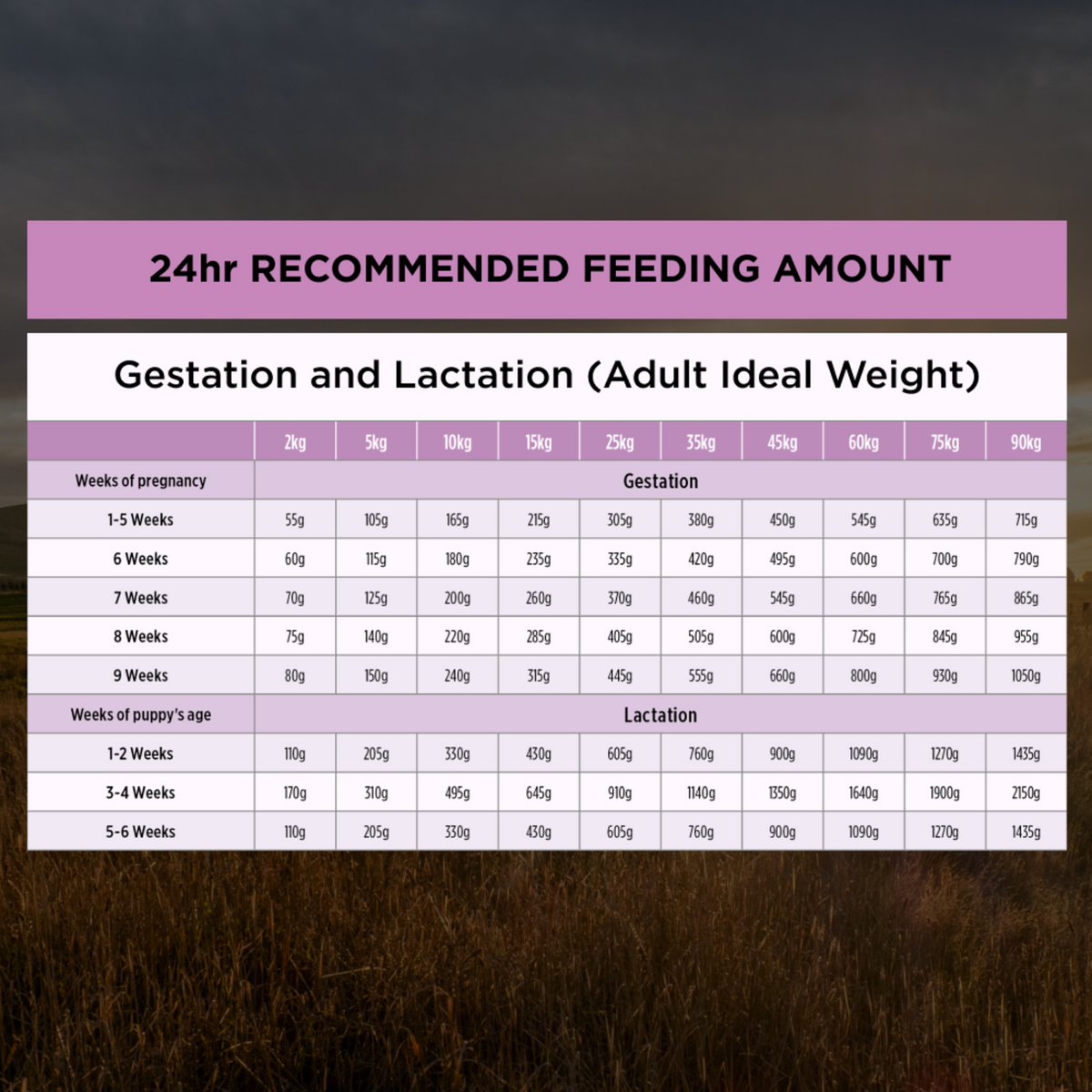 PRO PLAN Performance feeding table for gestation and lactation, by adult ideal weight
