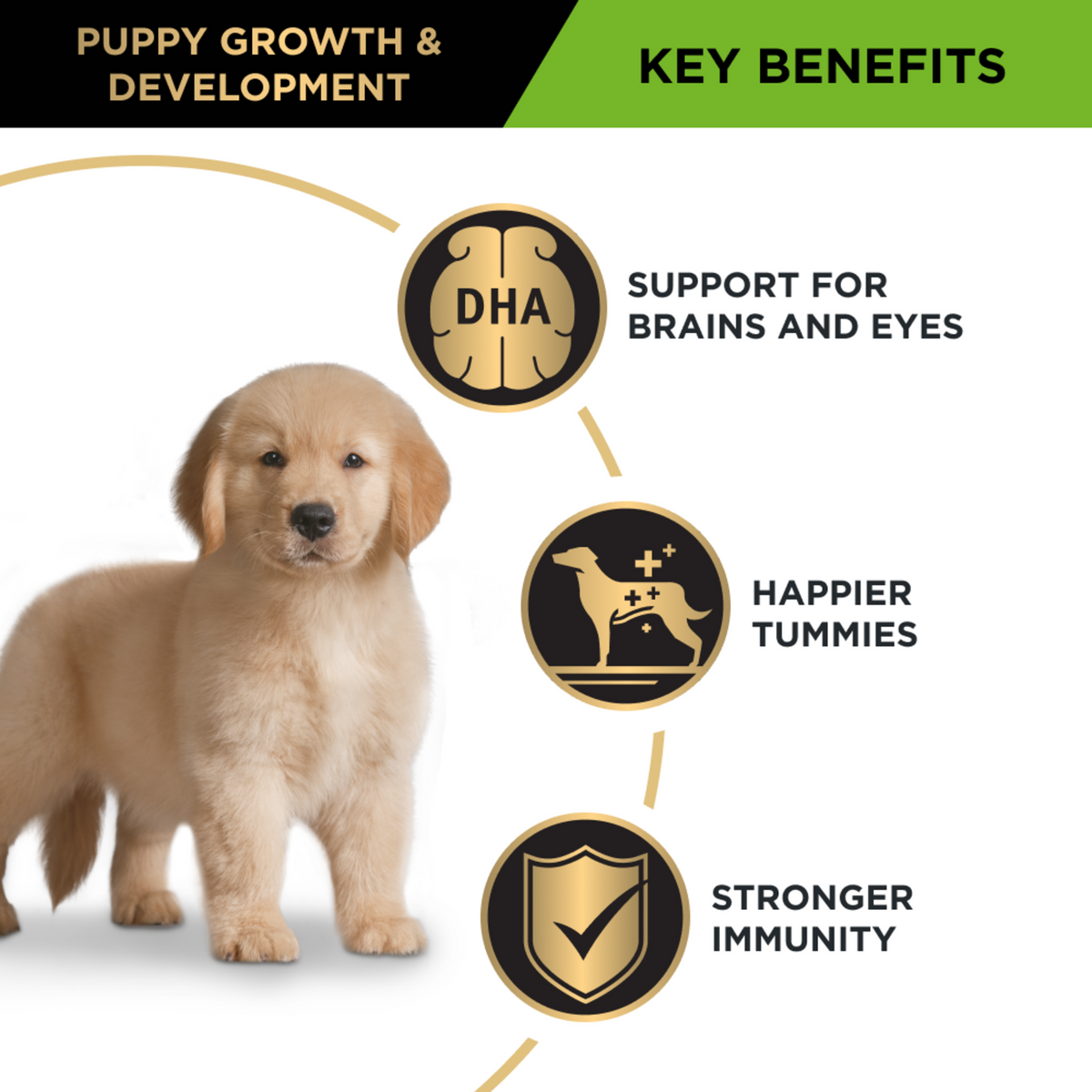 PRO PLAN Puppy Large key benefits panel with a retriever puppy: DHA, digestion and immunity