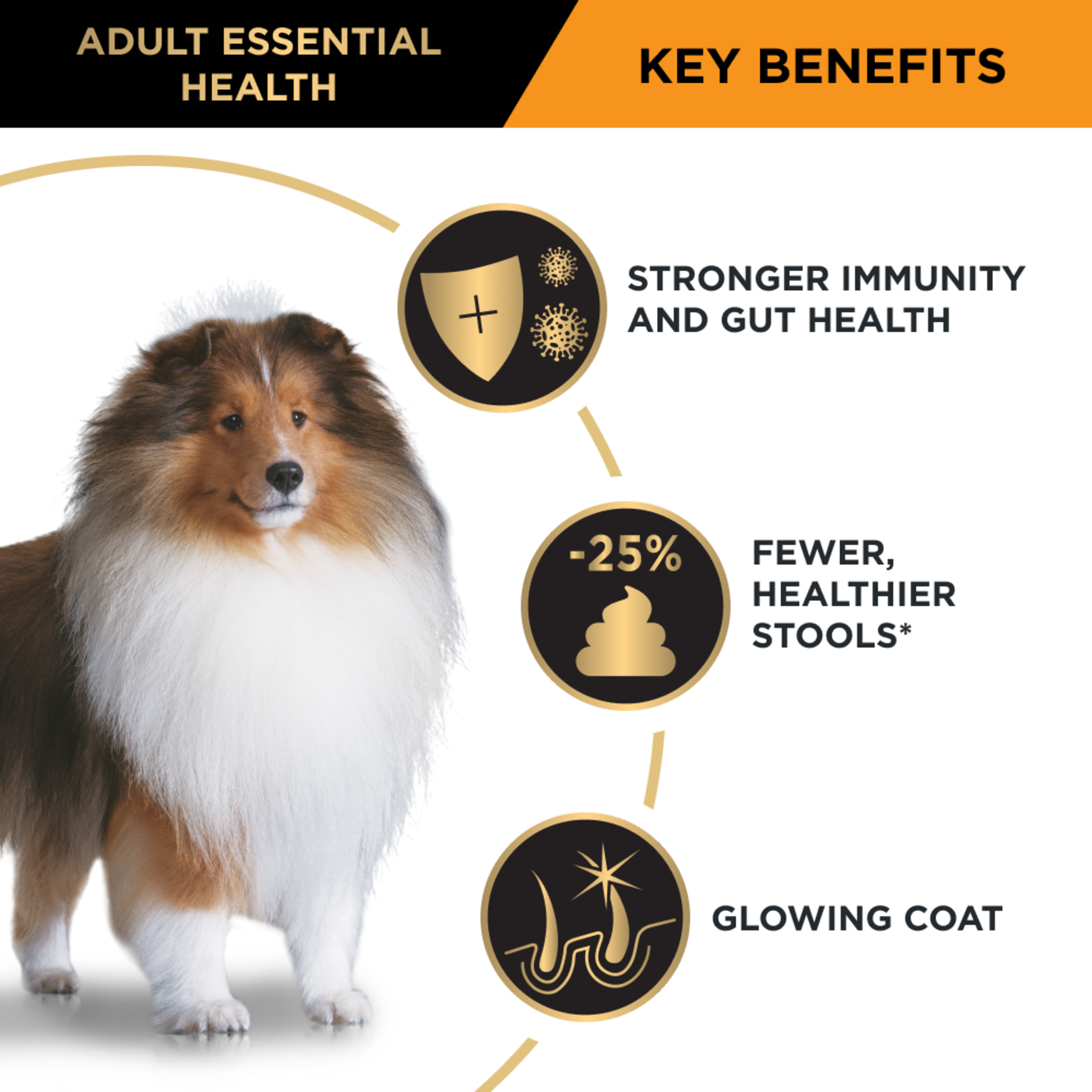 PRO PLAN Adult Medium key benefits panel with a collie: immunity, gut health and coat condition