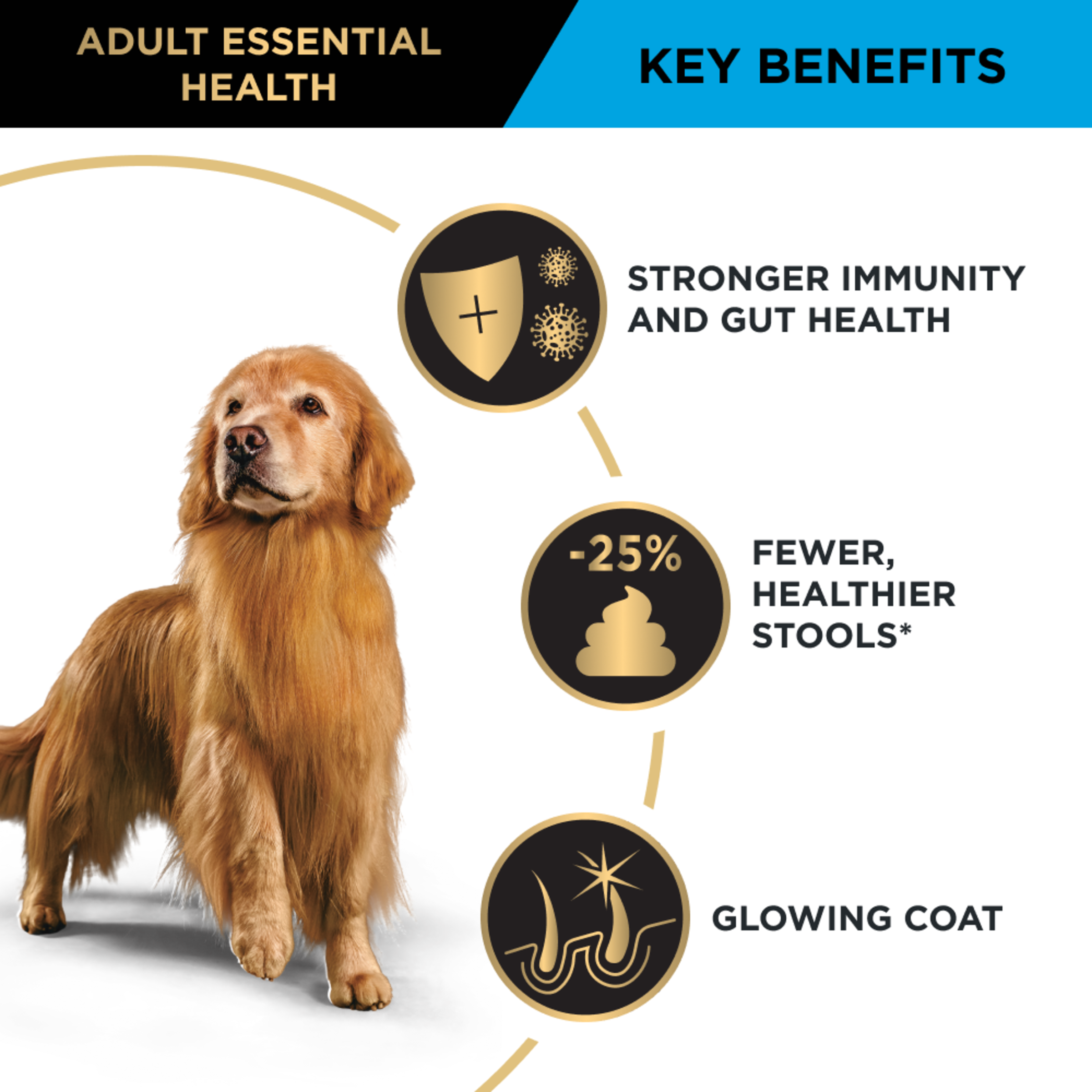 PRO PLAN Adult Large key benefits panel with a retriever: immunity, gut health and coat condition