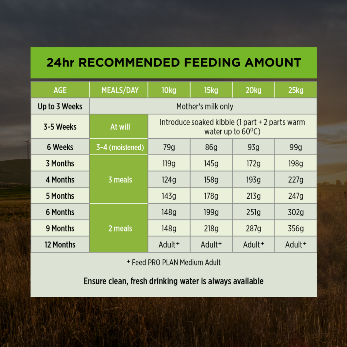 PRO PLAN Puppy Medium 24-hour feeding table by puppy age and expected adult weight