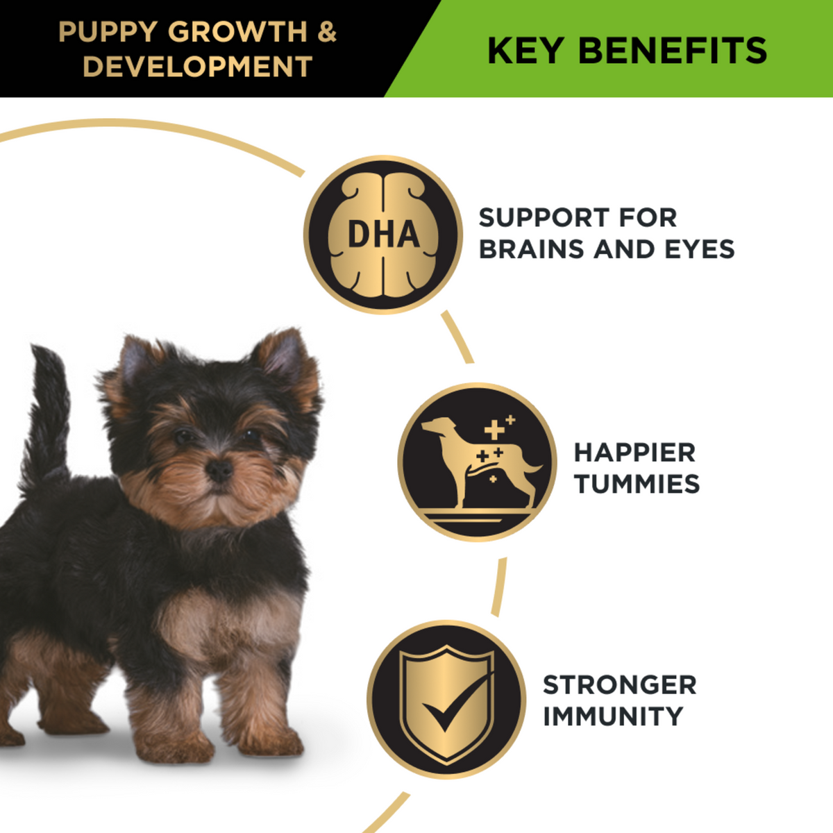 PRO PLAN Puppy Small & Toy key benefits panel with a puppy: DHA for brain and eyes, immunity