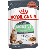 Royal Canin Digestive Care wet cat food gravy pouch