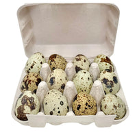 Freezy Paws Freeze Dried Quail Eggs pet treats for cats and dogs, 12 Pack - product image 1 of 3