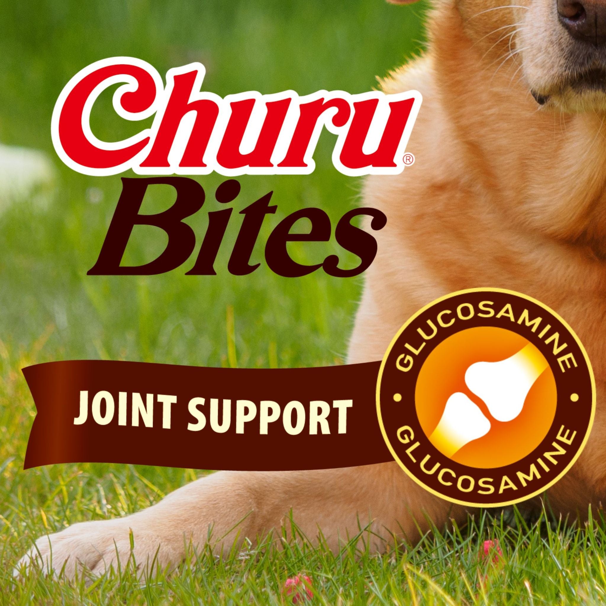 Inaba Dog Treat Churu Bites Joint Support Chicken & Salmon