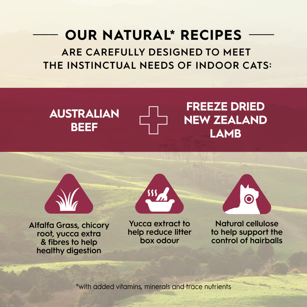Trilogy natural recipes graphic: Australian beef plus freeze dried New Zealand lamb