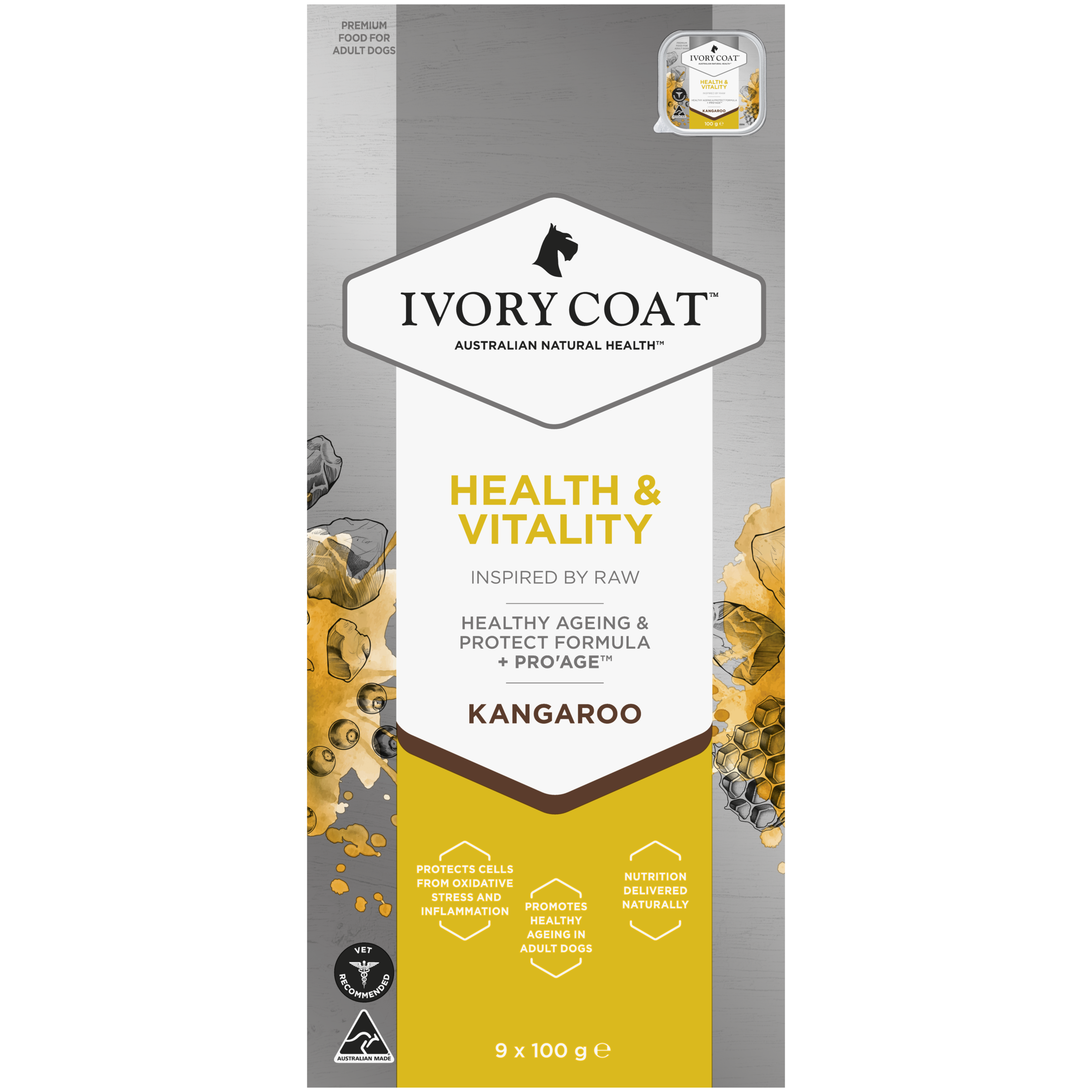 Ivory Coat Inspired By Raw Wet Dog Food Health & Vitality front of pack
