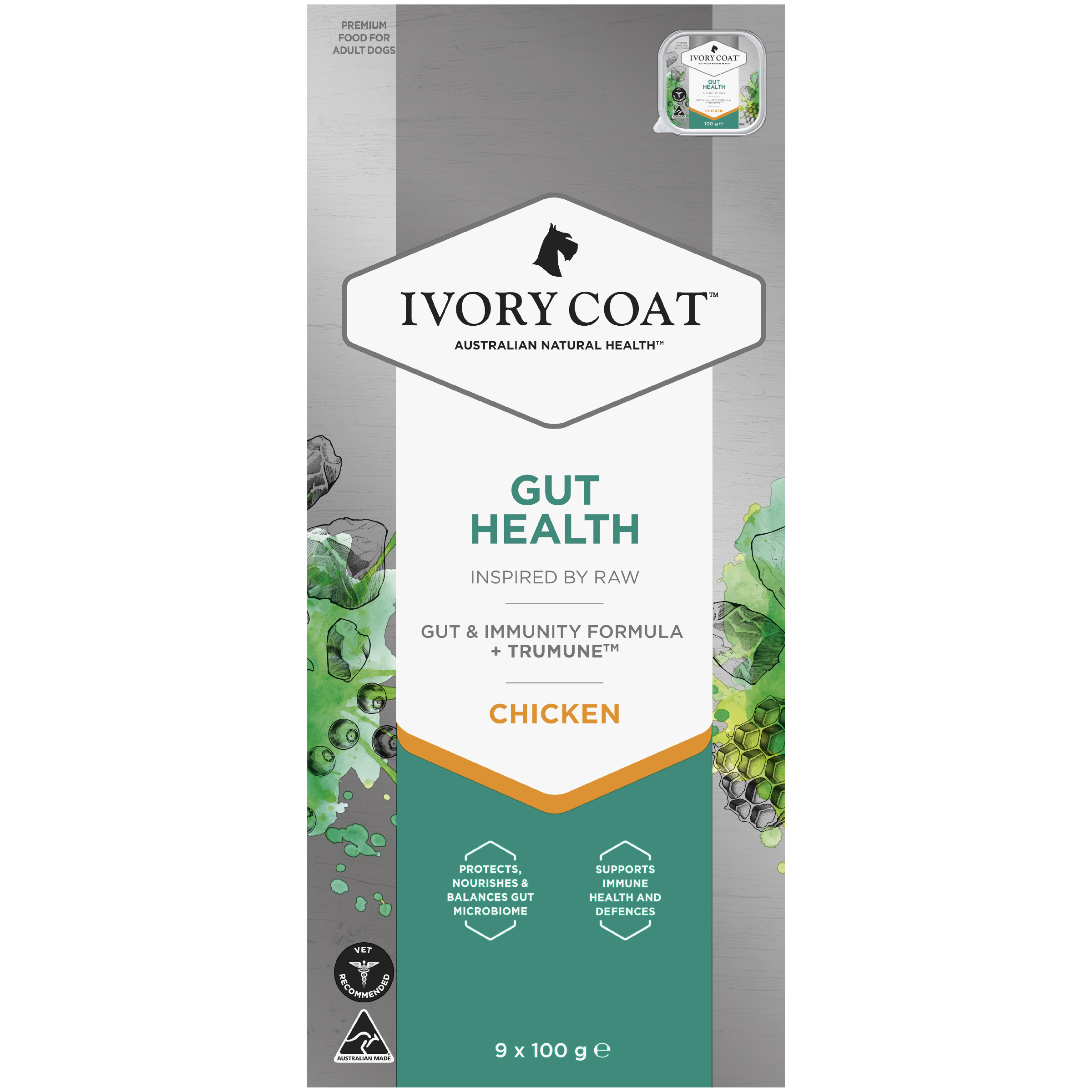 Ivory Coat Inspired By Raw Wet Dog Food Gut Health front of pack