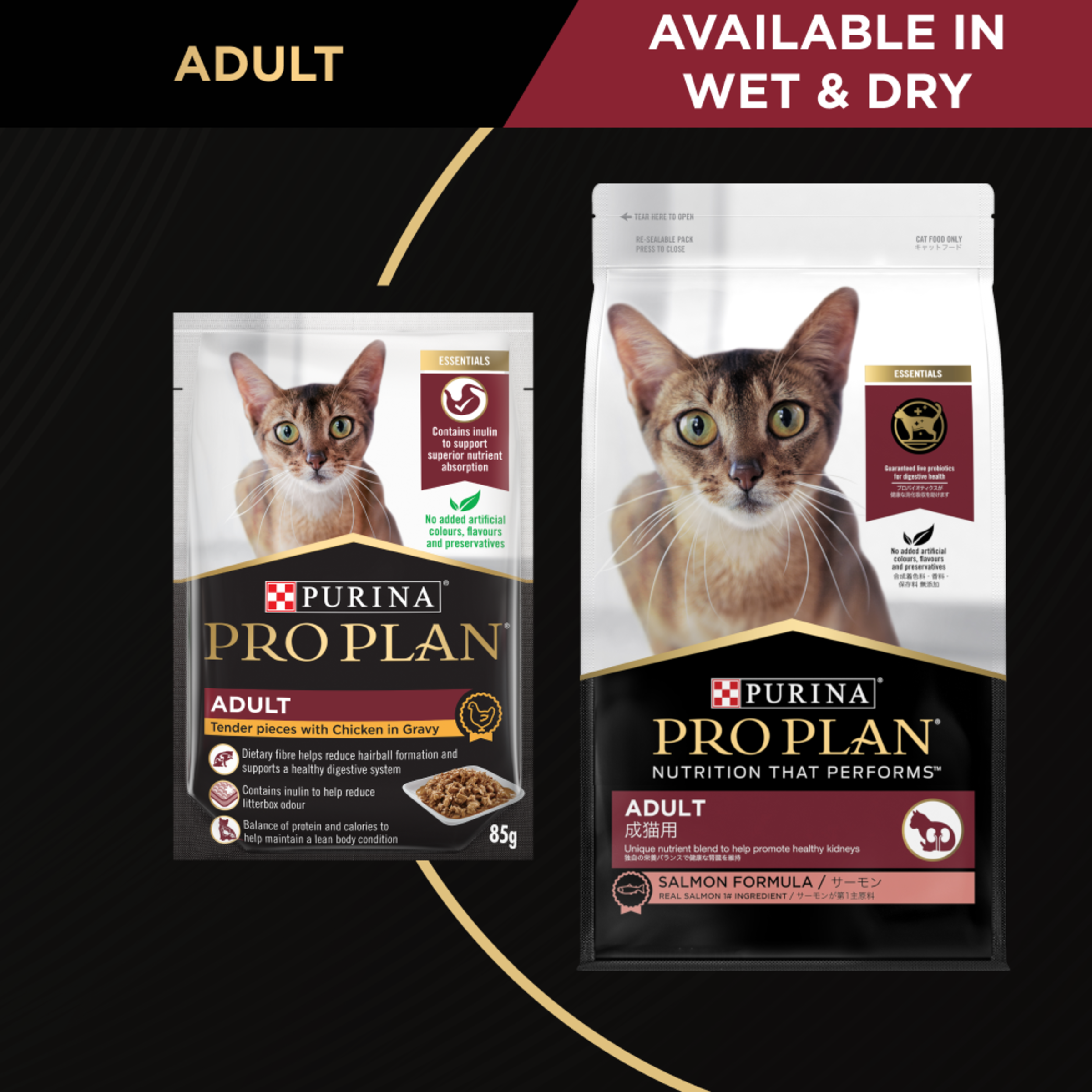 PRO PLAN Adult Salmon range panel: the dry bag and the wet pack, available in wet and dry