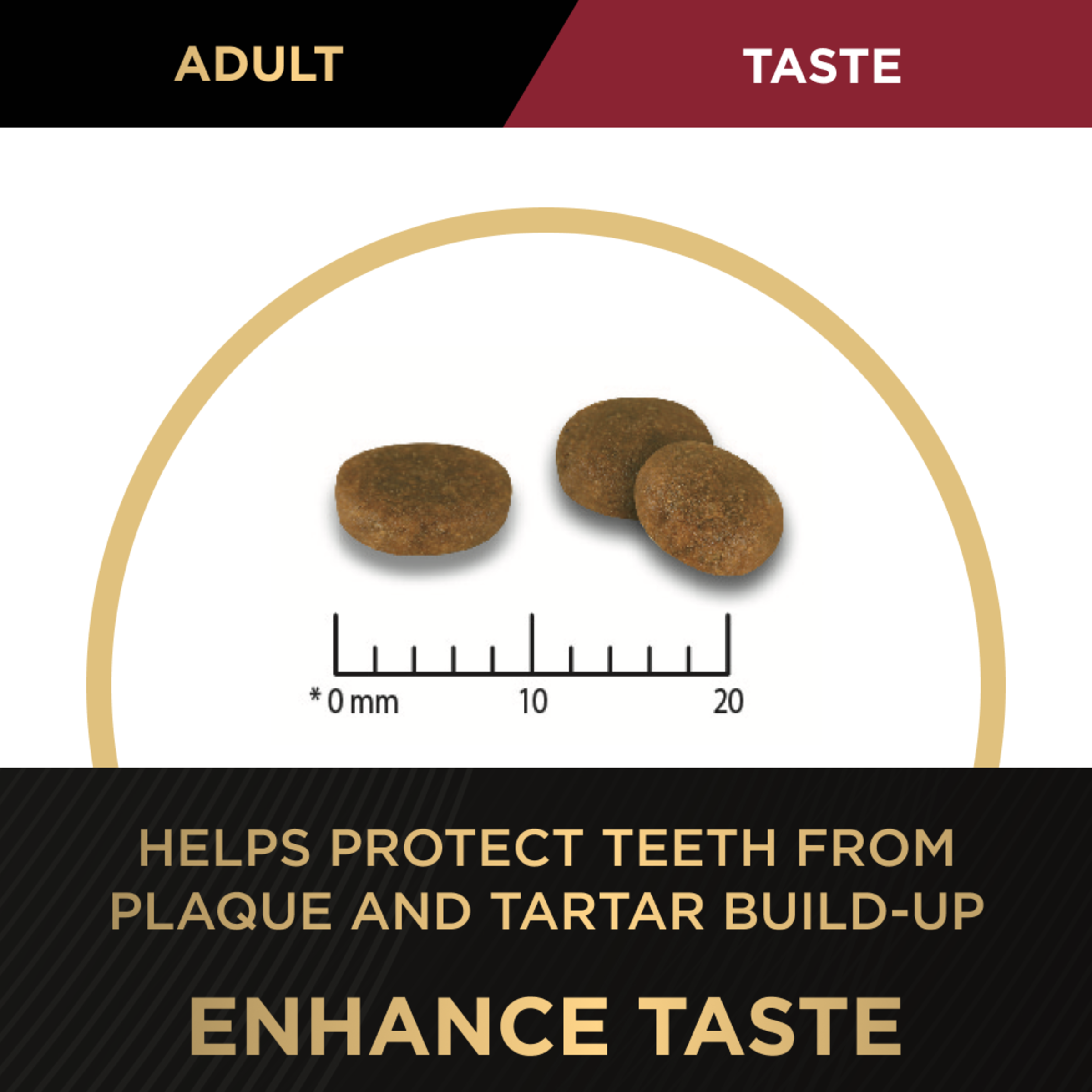 PRO PLAN Adult Salmon kibble shown against a millimetre scale, on the taste and dental panel