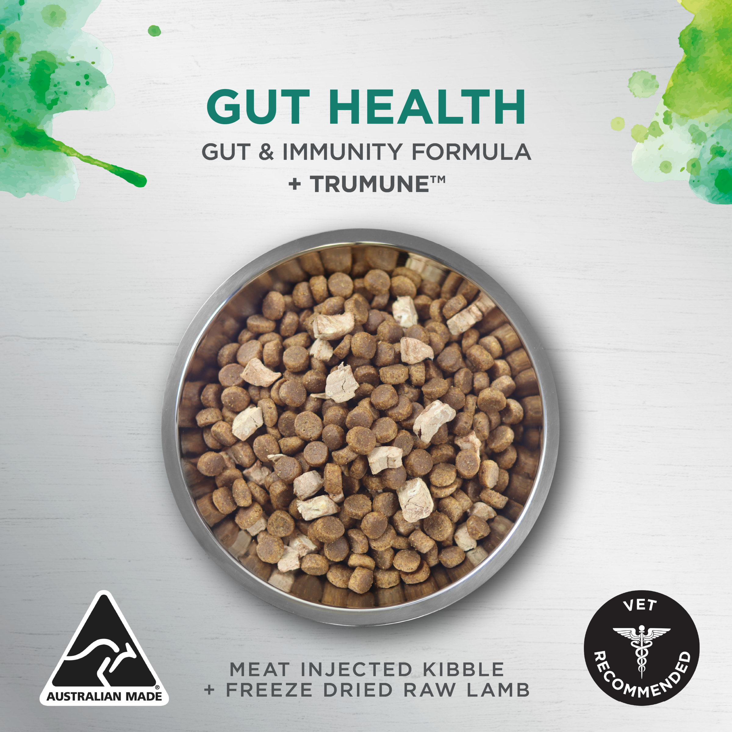 Ivory Coat Raw Health Adult Dry Dog Food Gut Health product detail 1