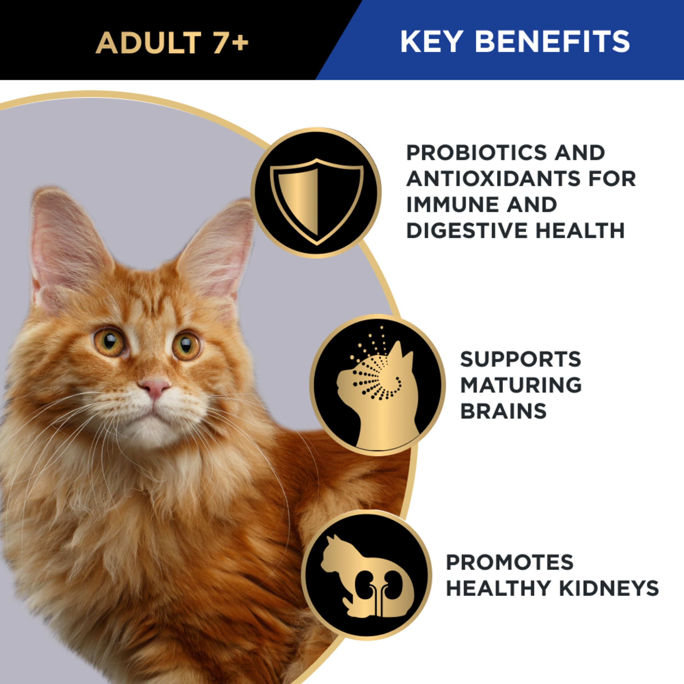PRO PLAN Adult 7+ key benefits panel with a cat: probiotics, maturing brains and healthy kidneys
