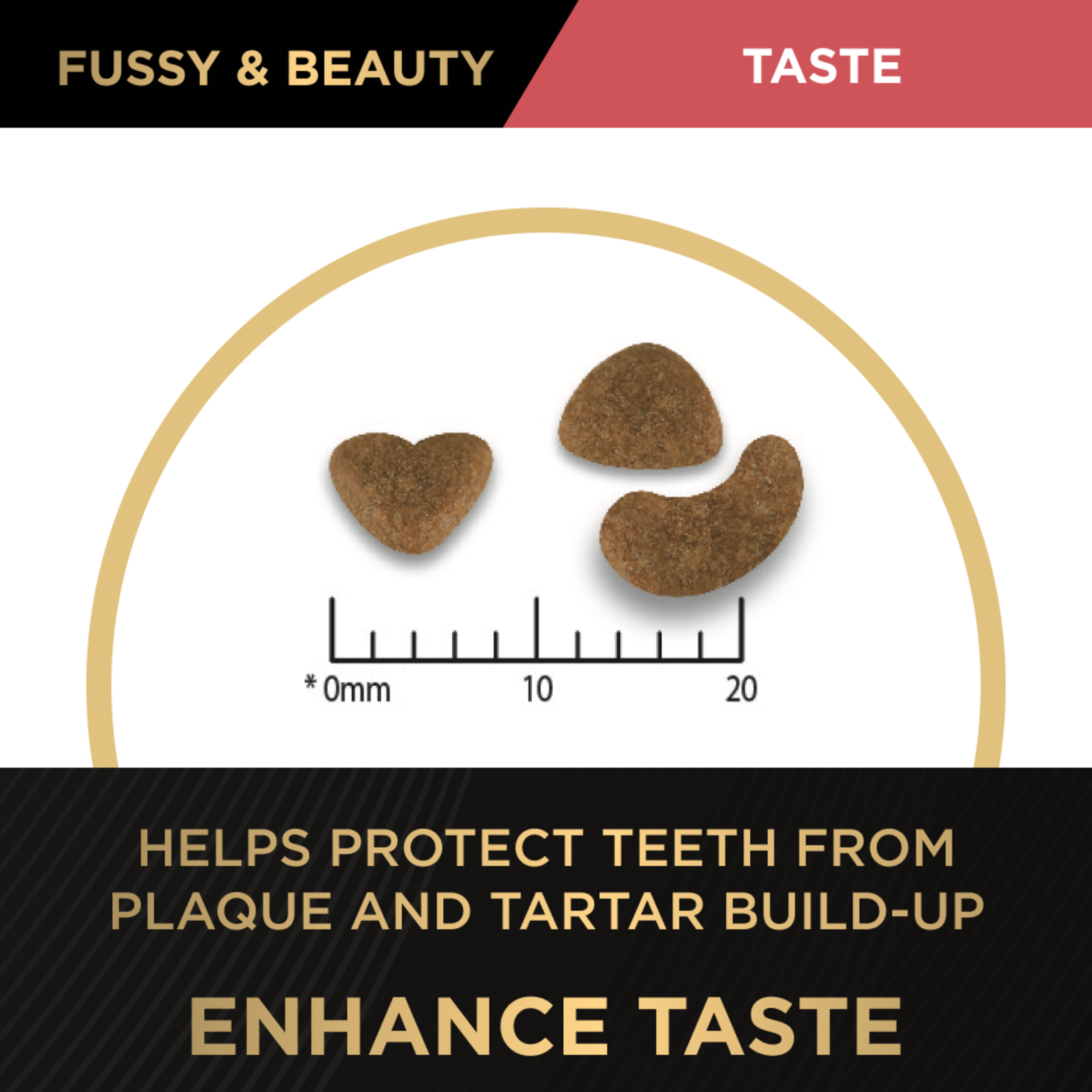 PRO PLAN Fussy & Beauty kibble against a millimetre scale on the taste and dental panel