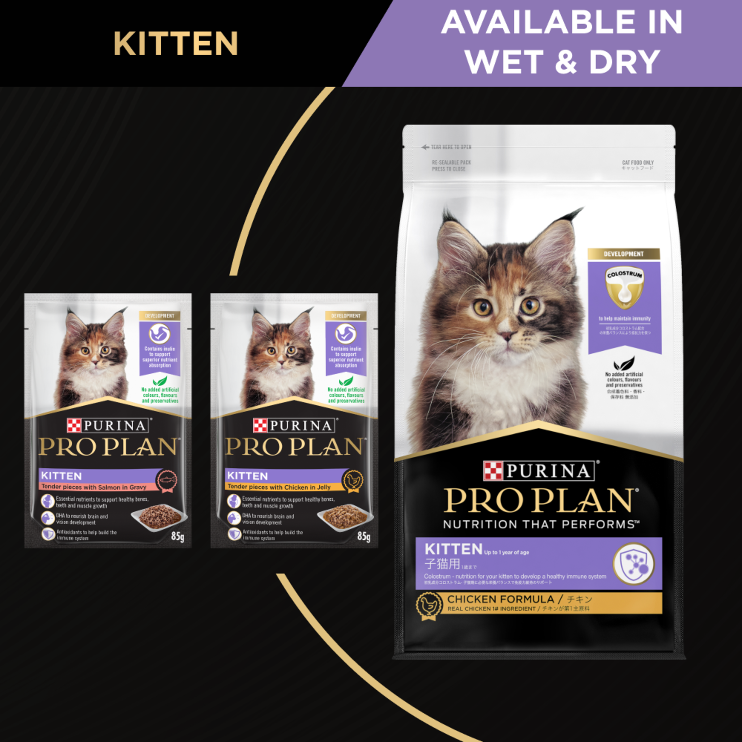 PRO PLAN Kitten Chicken Formula Dry Cat Food product detail 3