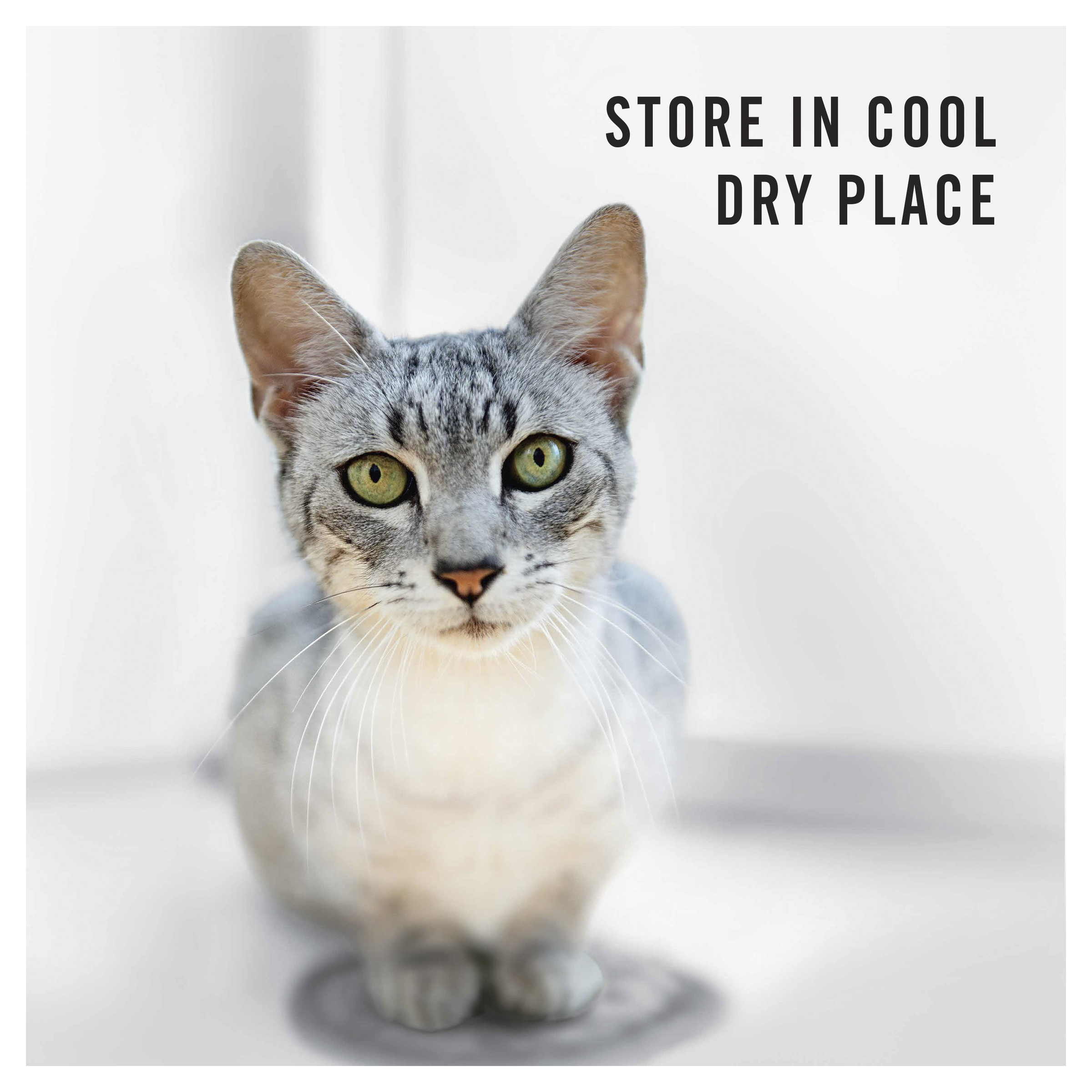 PRO PLAN Weight Loss Sterilised storage note over a photo of a cat: store in a cool, dry place