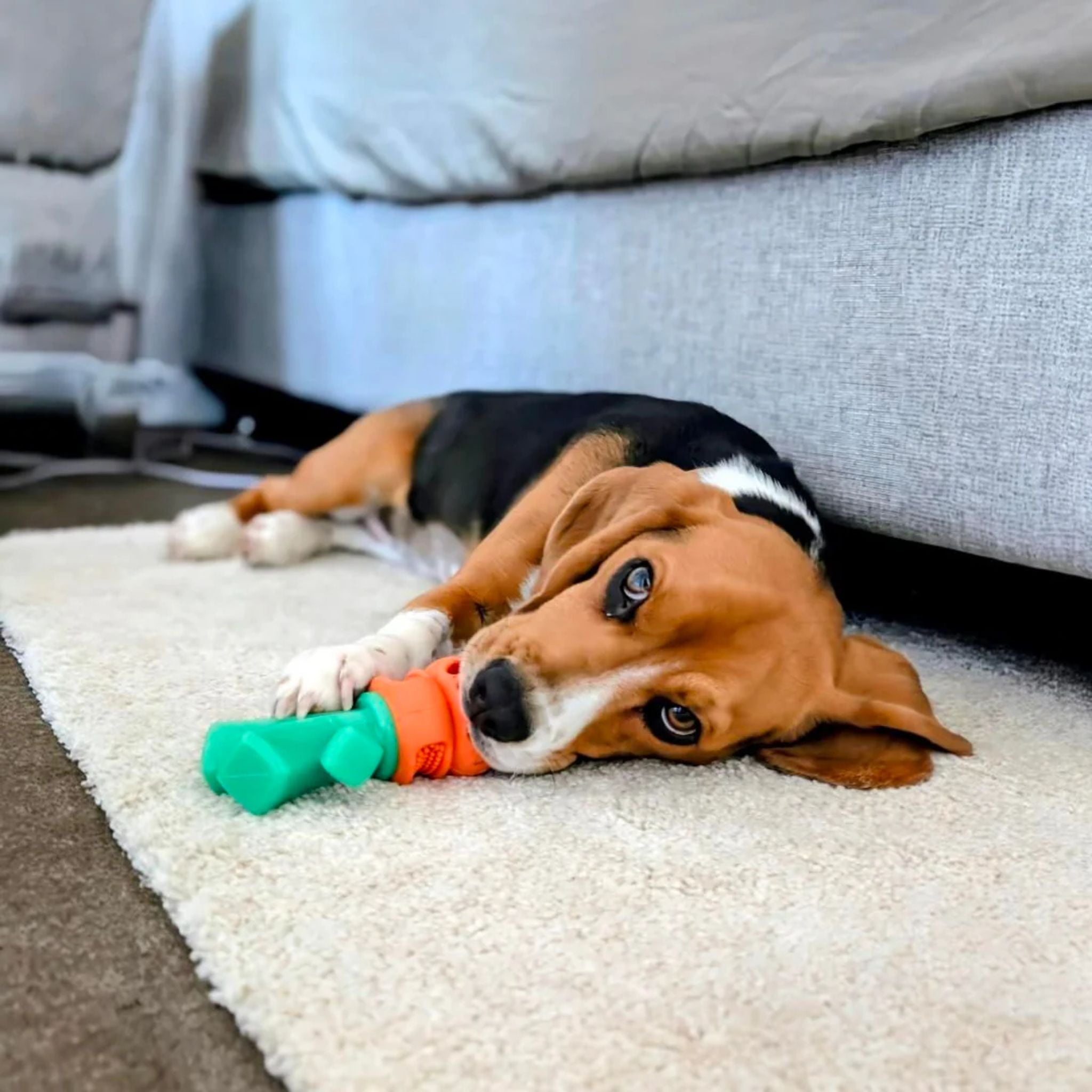 Happy Staffy Co Chomp Carrot Dog Toy
