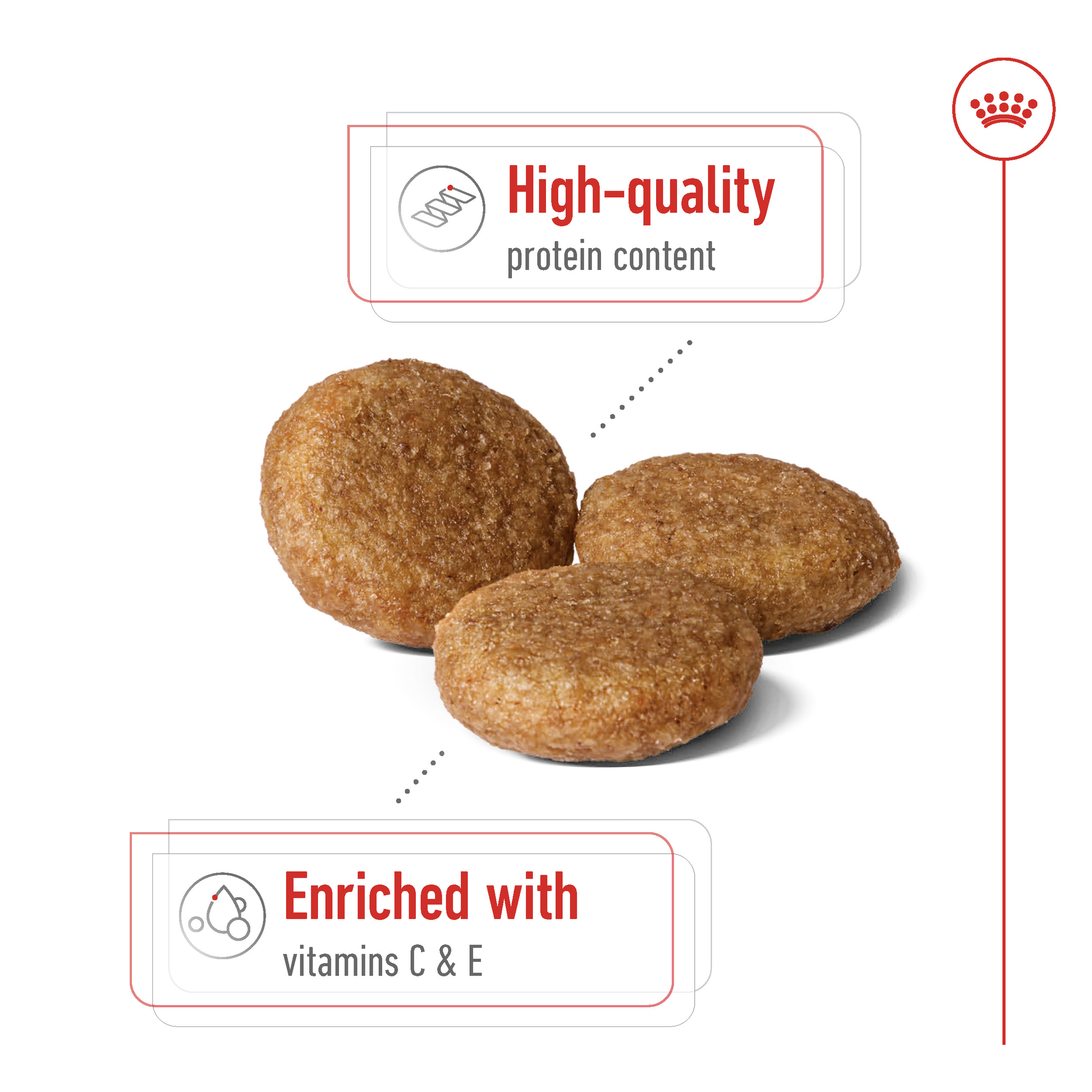 Royal Canin Medium Adult product detail 3