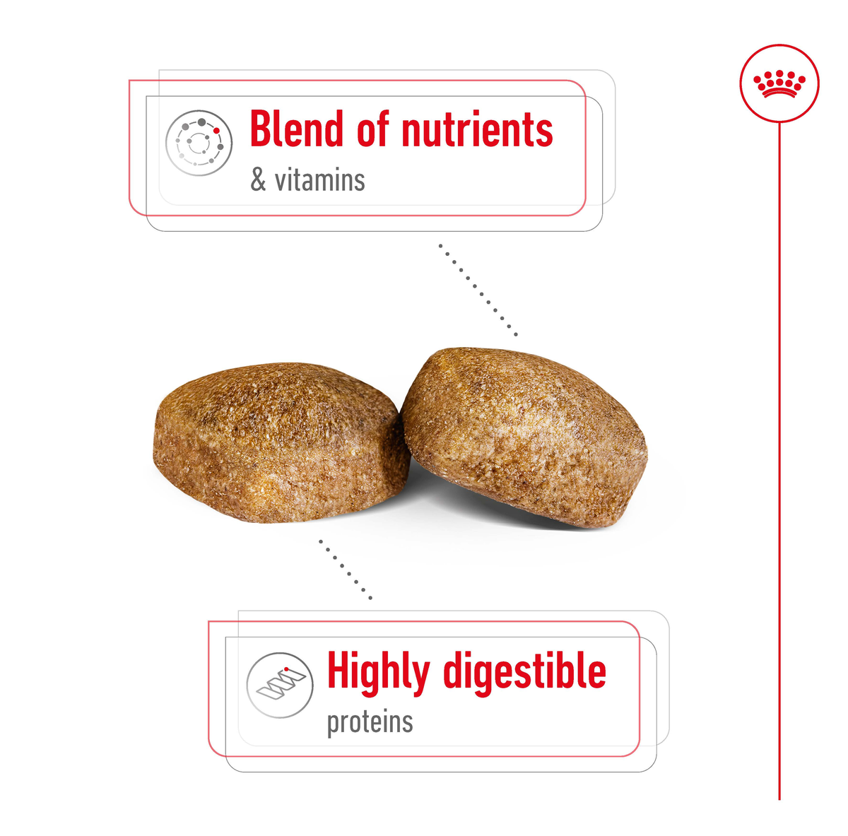 Close-up of Royal Canin Giant Adult kibble with nutrient blend and highly digestible proteins
