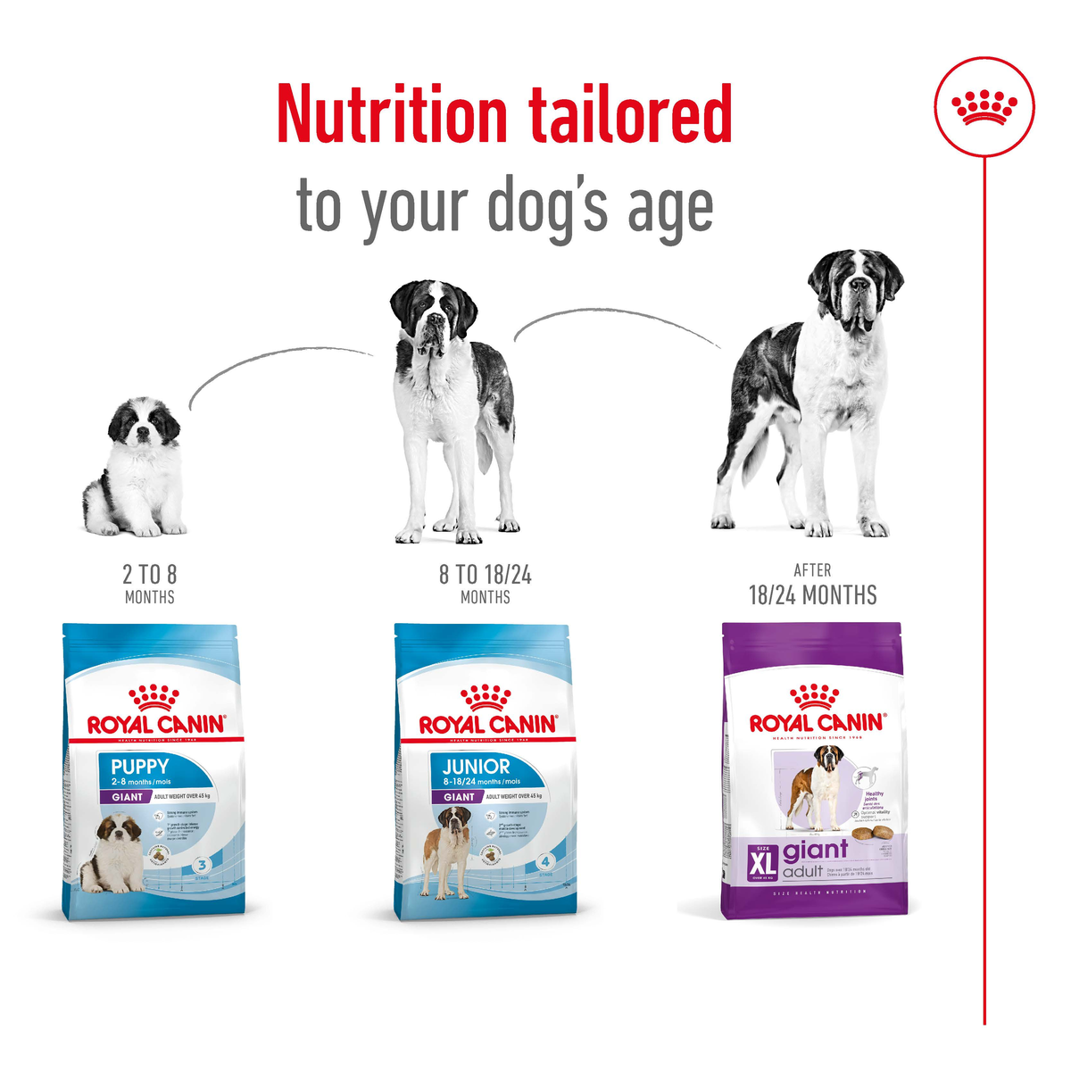 Royal Canin Giant range packs shown as nutrition tailored to a dog's age