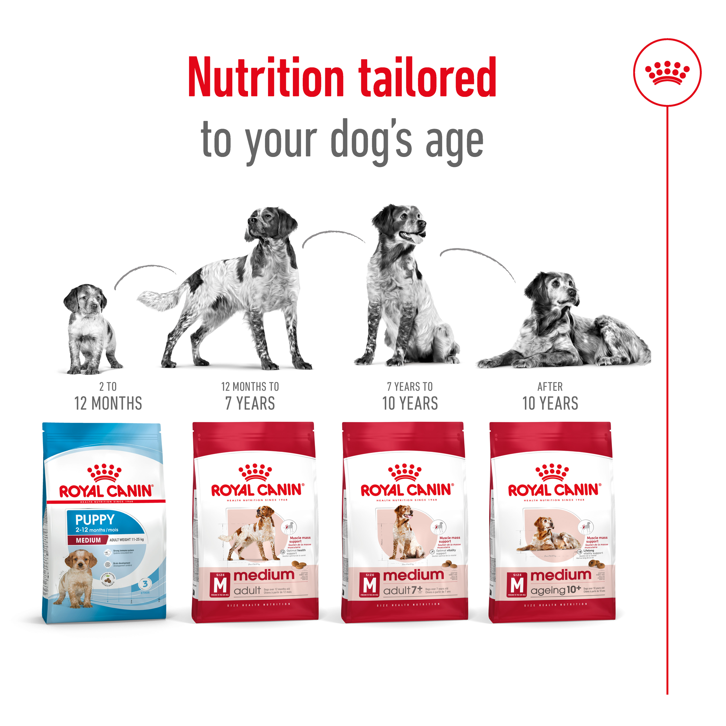 Royal Canin Medium Ageing 10+ product detail 5