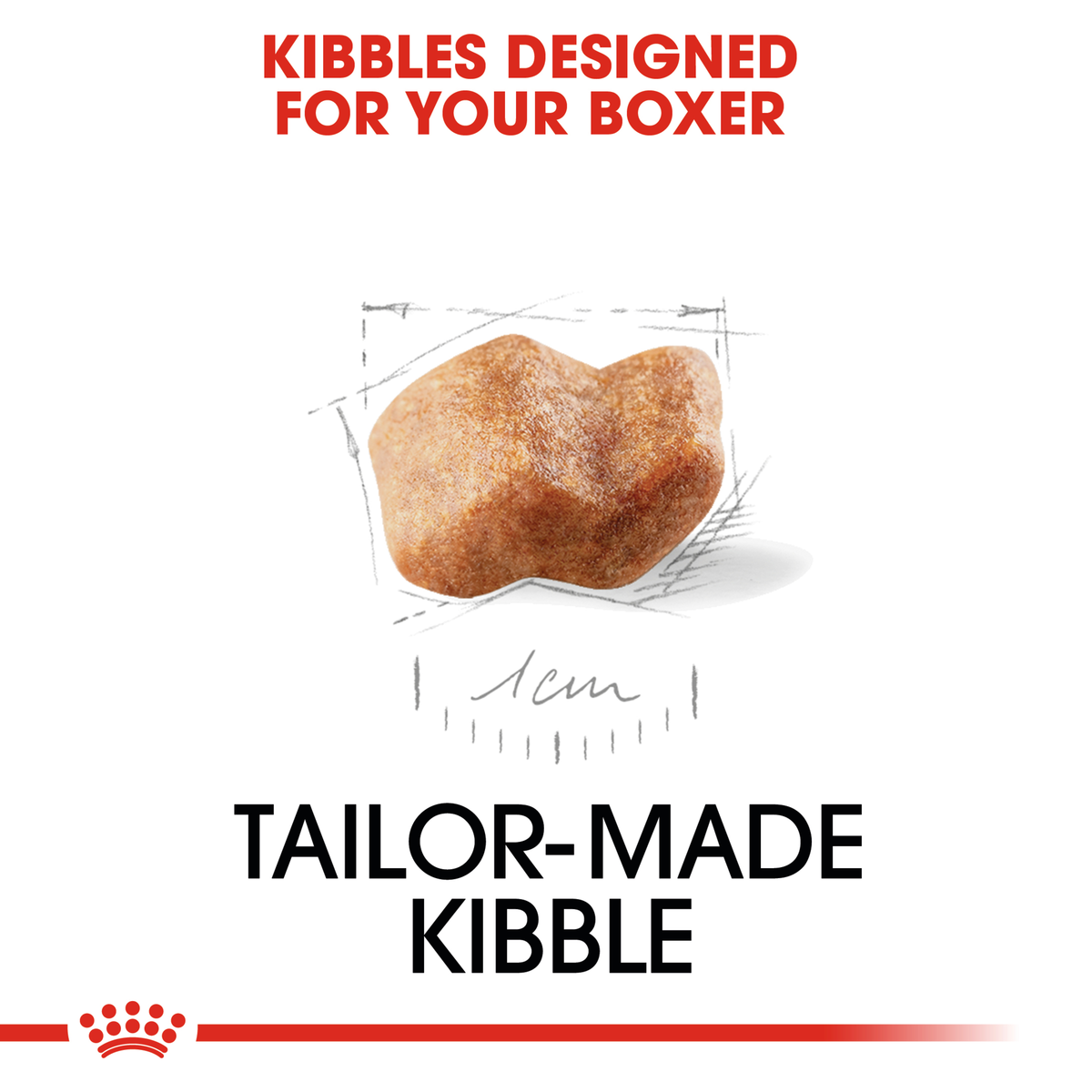 Close-up of the tailor-made Royal Canin Boxer Puppy kibble shown with a size scale