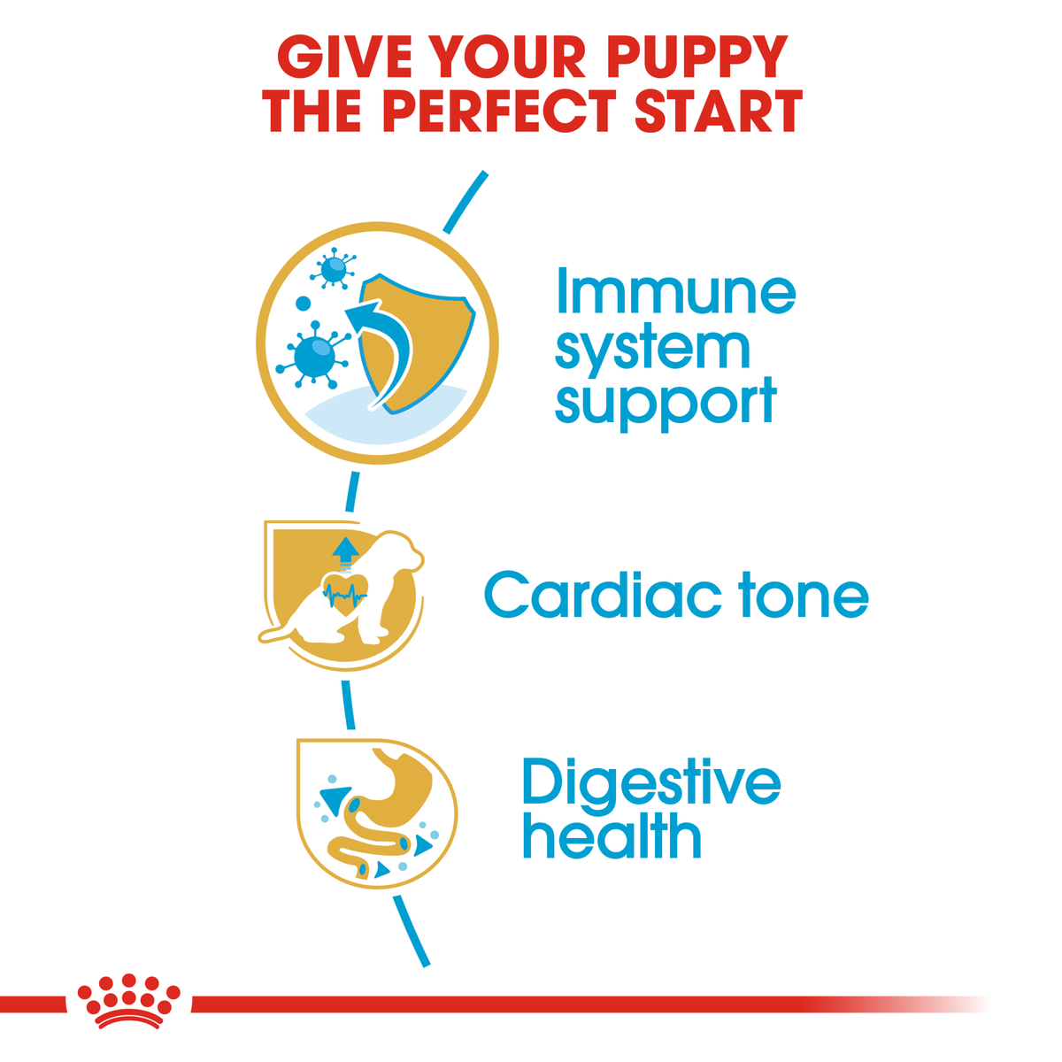 Royal Canin Cavalier King Charles Puppy benefits: immune support, cardiac tone, digestive health