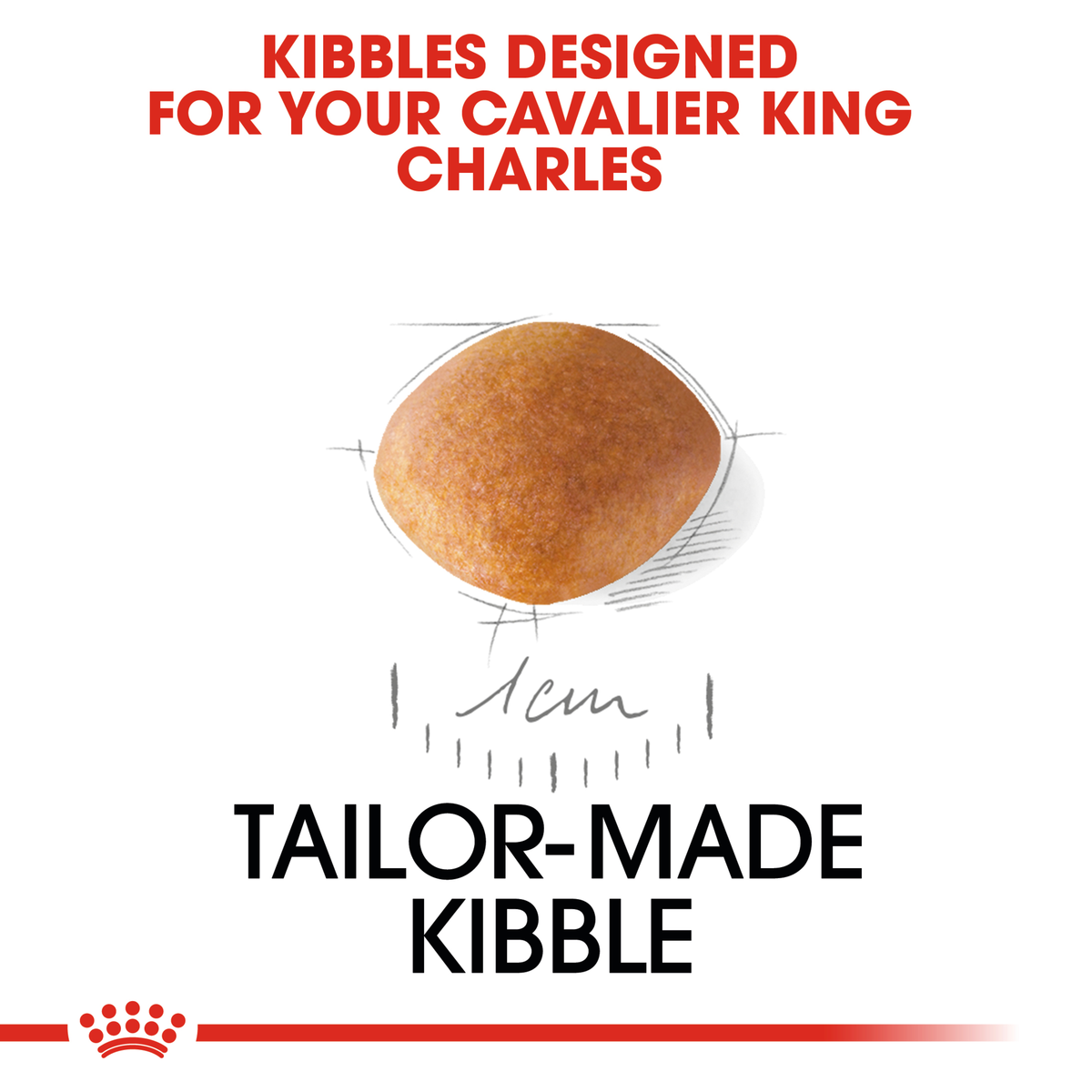 Close-up of the tailor-made Royal Canin kibble designed for the Cavalier King Charles Puppy