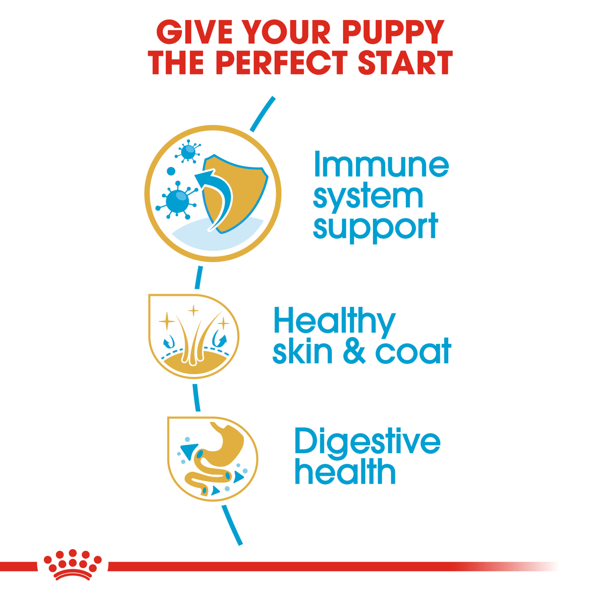 Royal Canin Cocker Spaniel Puppy benefits: immune support, healthy skin and coat, digestive health