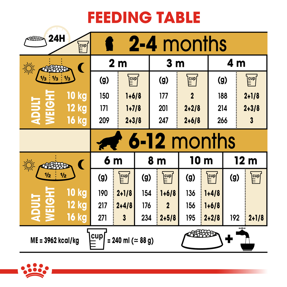 Royal Canin Cocker Spaniel Puppy feeding table by age from 2 to 12 months