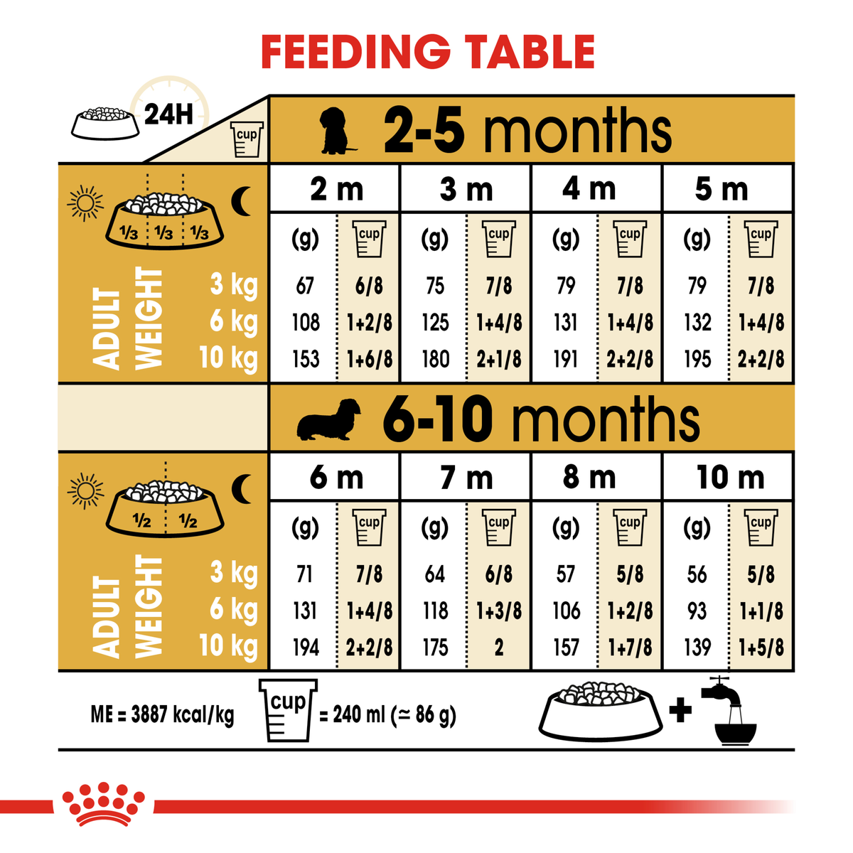 Royal Canin Dachshund Puppy feeding table by age from 2 to 10 months