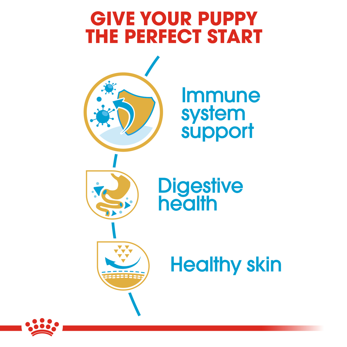 Royal Canin French Bulldog Puppy benefits: immune support, digestive health, healthy skin
