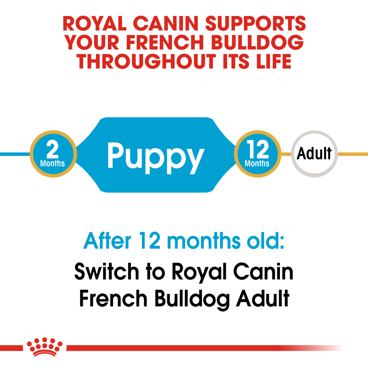 Royal Canin French Bulldog life stage guide: puppy food to 12 months, then adult food