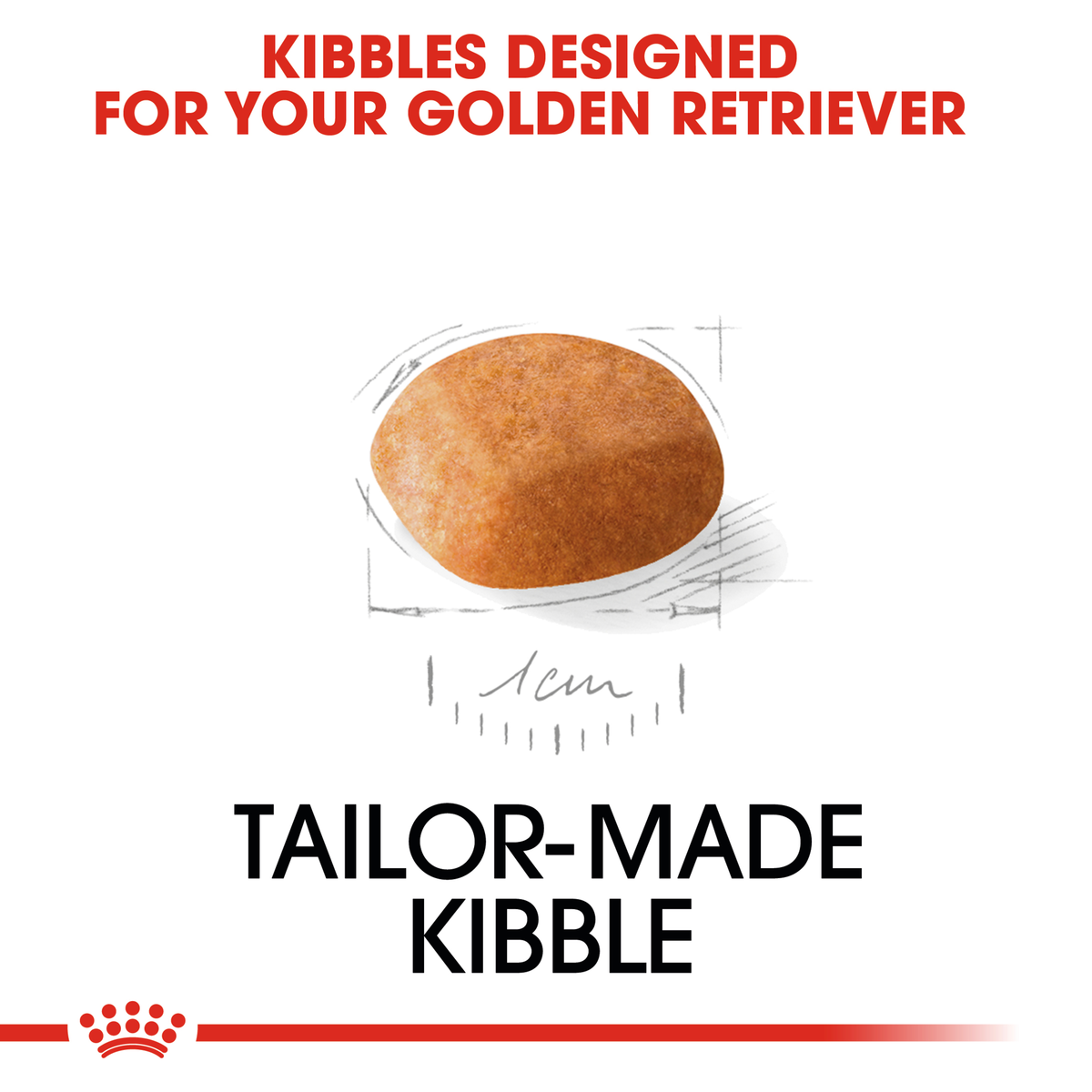 Close-up of the tailor-made Royal Canin kibble designed for the Golden Retriever Puppy