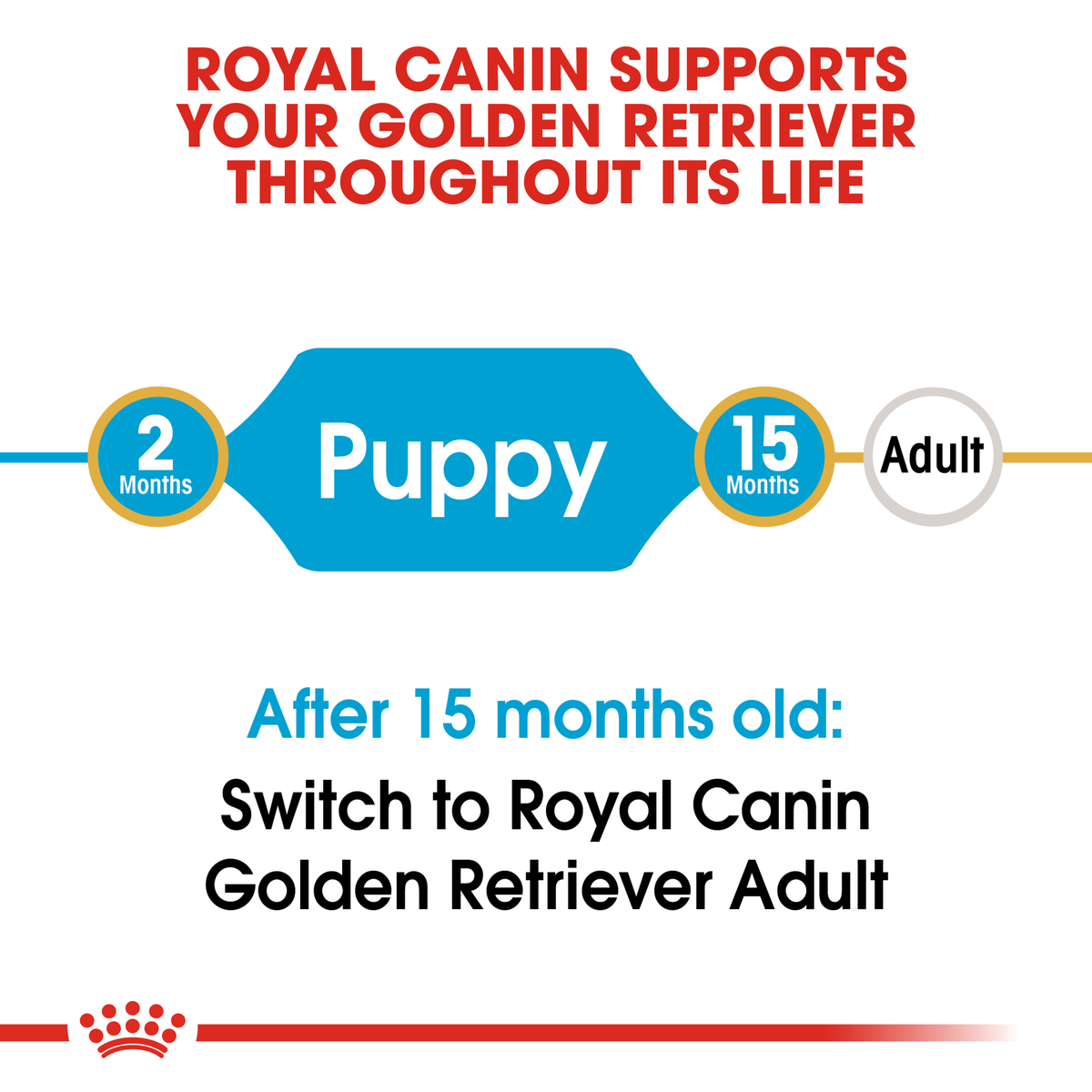 Royal Canin Golden Retriever life stage guide: puppy food to 15 months, then adult food