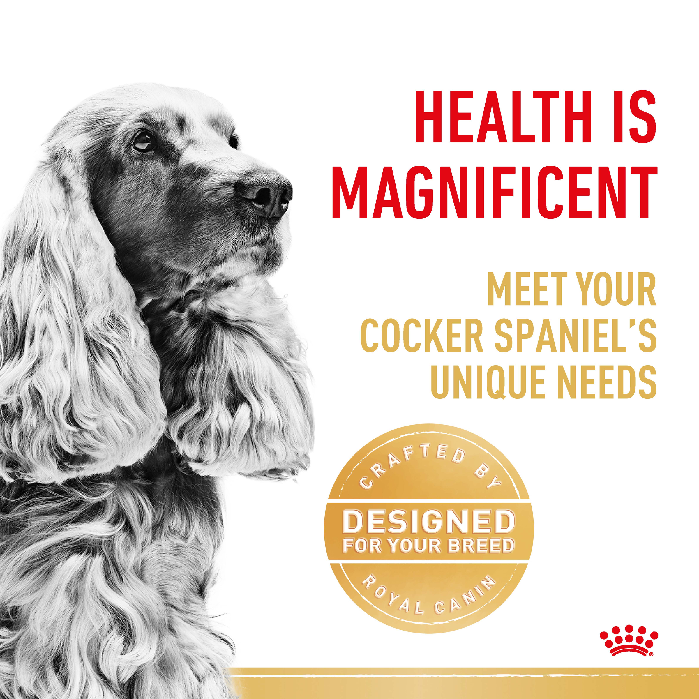 Royal Canin Cocker Spaniel product detail 2