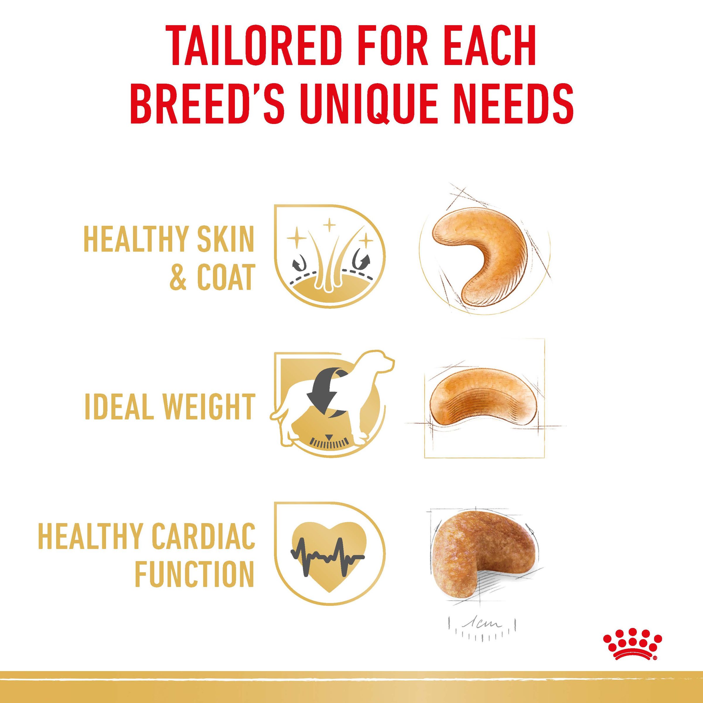 Royal Canin Cocker Spaniel product detail 3
