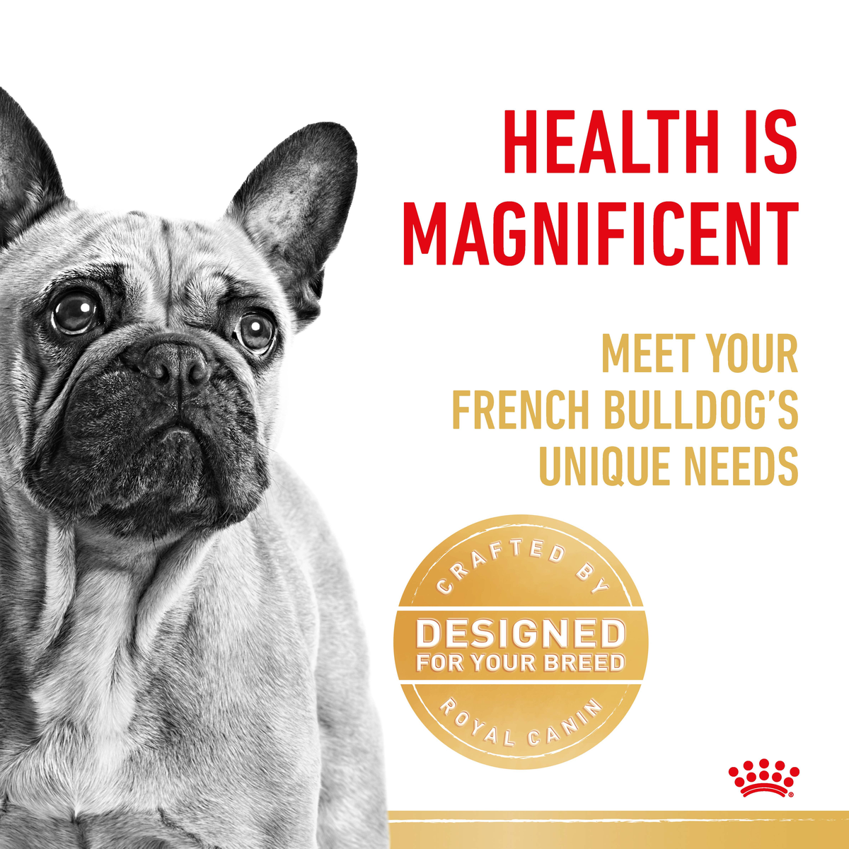 Black and white close-up of a French Bulldog beside a designed-for-your-breed seal