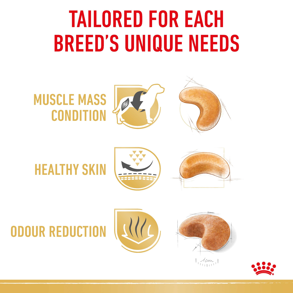 Royal Canin French Bulldog benefits: muscle mass condition, healthy skin, odour reduction