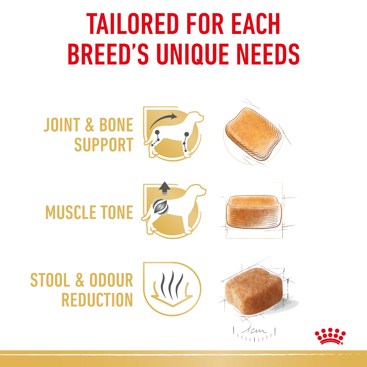 Royal Canin Dachshund benefits: joint and bone support, muscle tone, stool and odour reduction